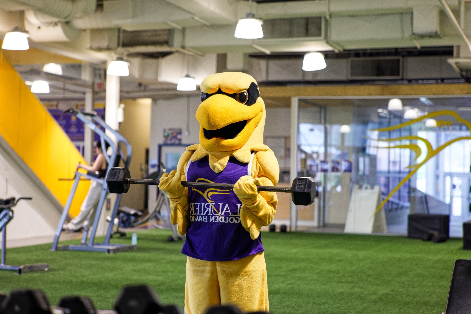 Midas working out