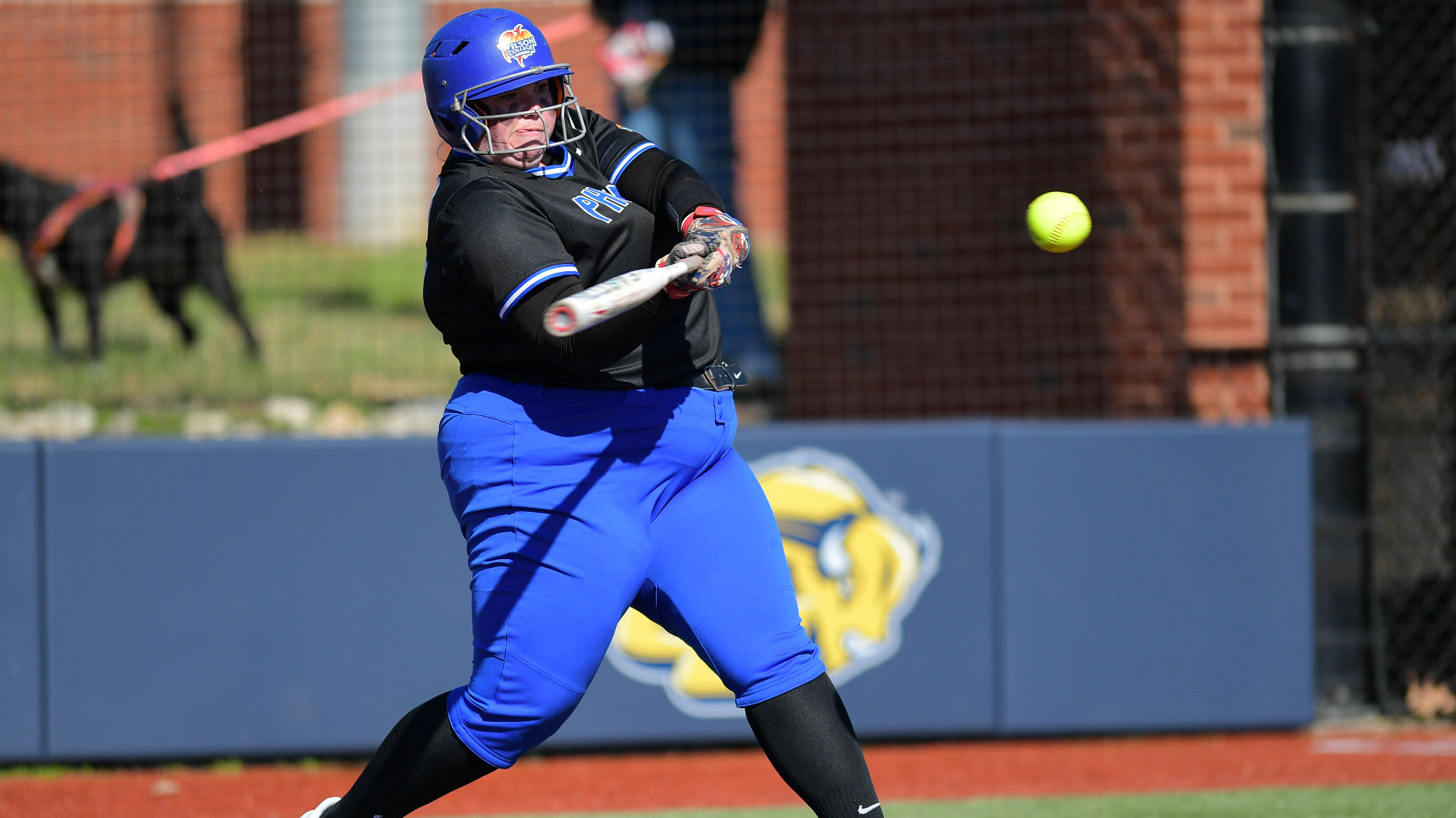 Haley Privett Softball Wilson College Athletics