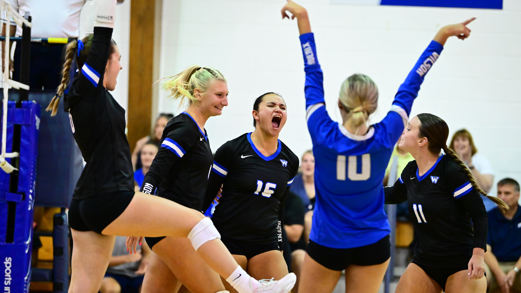 The team celebrates after a point.