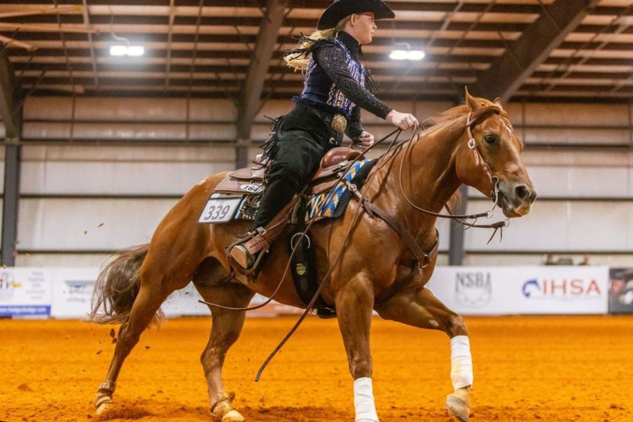 Ned The Horse is ridden during an equestrian event