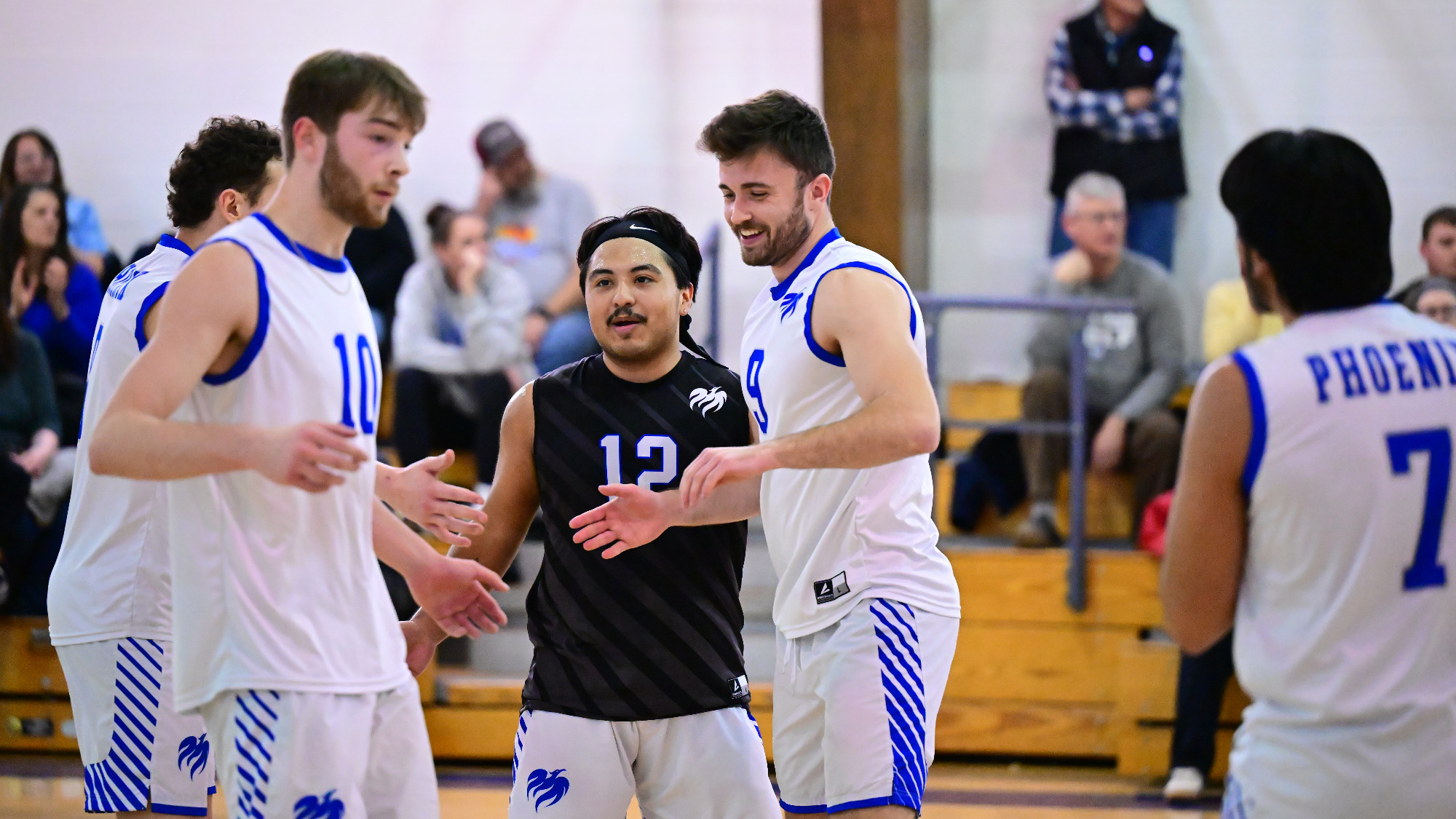 Men's Volleyball team celebrates after a point.