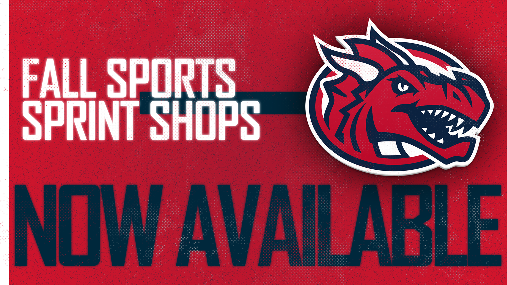 Fall Sports Sprint Shops