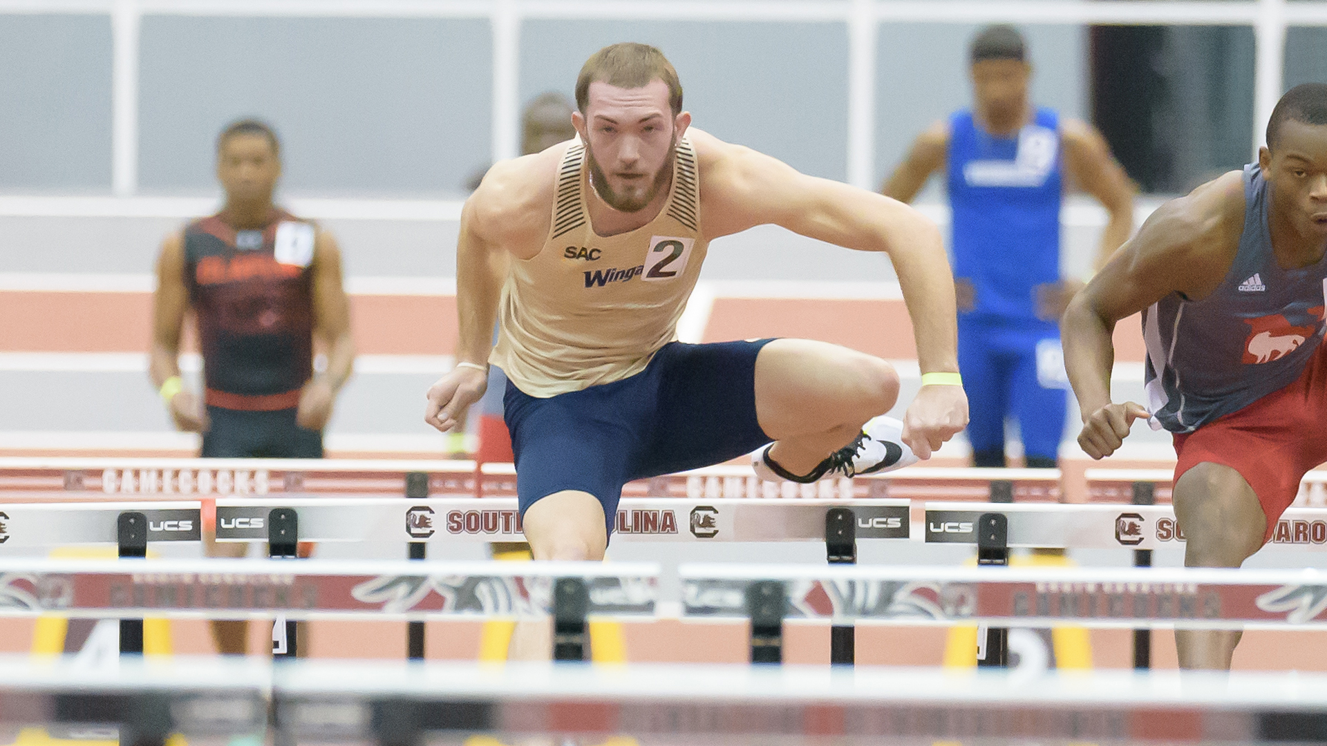 Thomas Nulty Men's Track & Field Wingate University Athletics