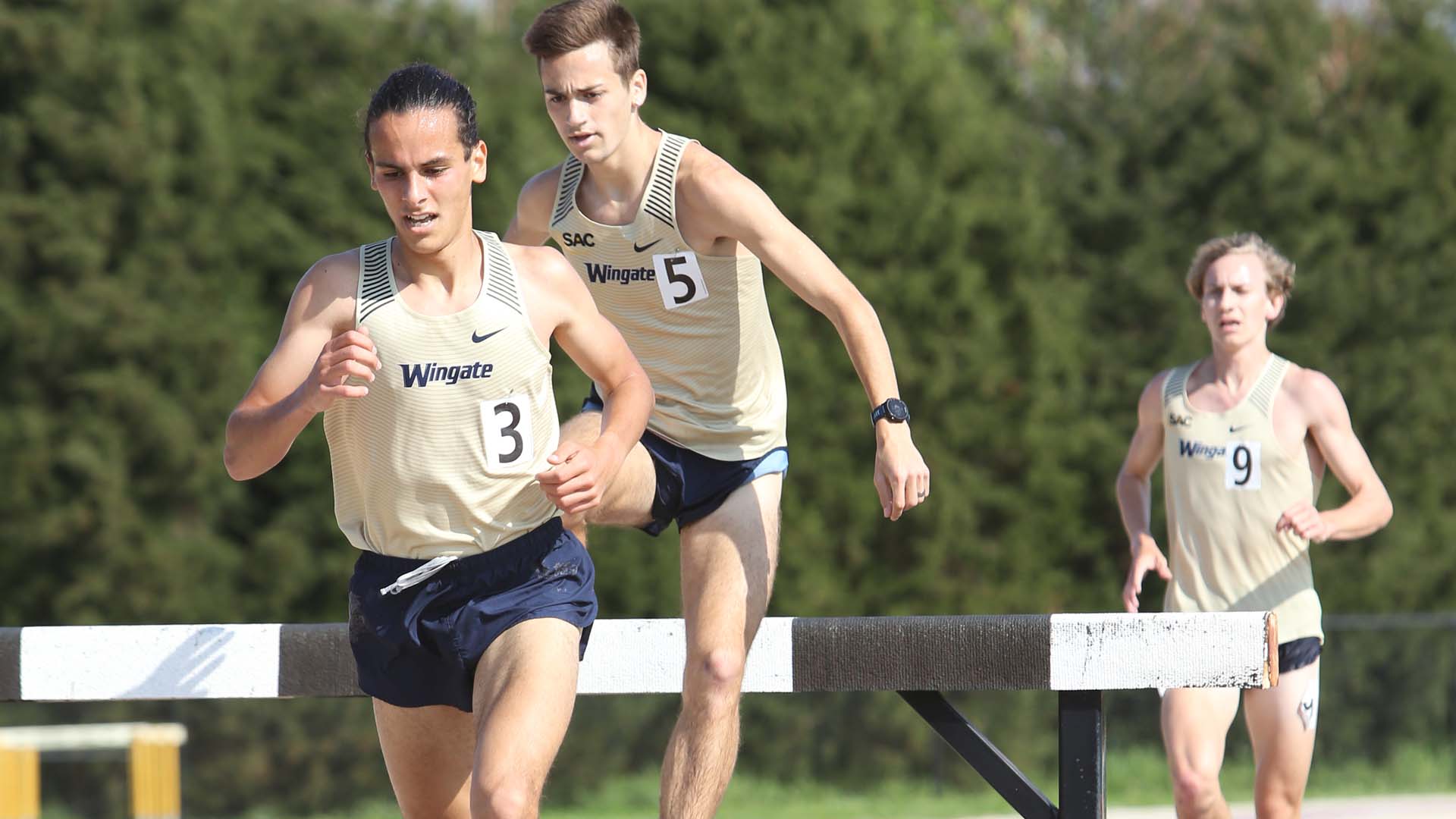 Dalton Miles Men's Track & Field Wingate University Athletics