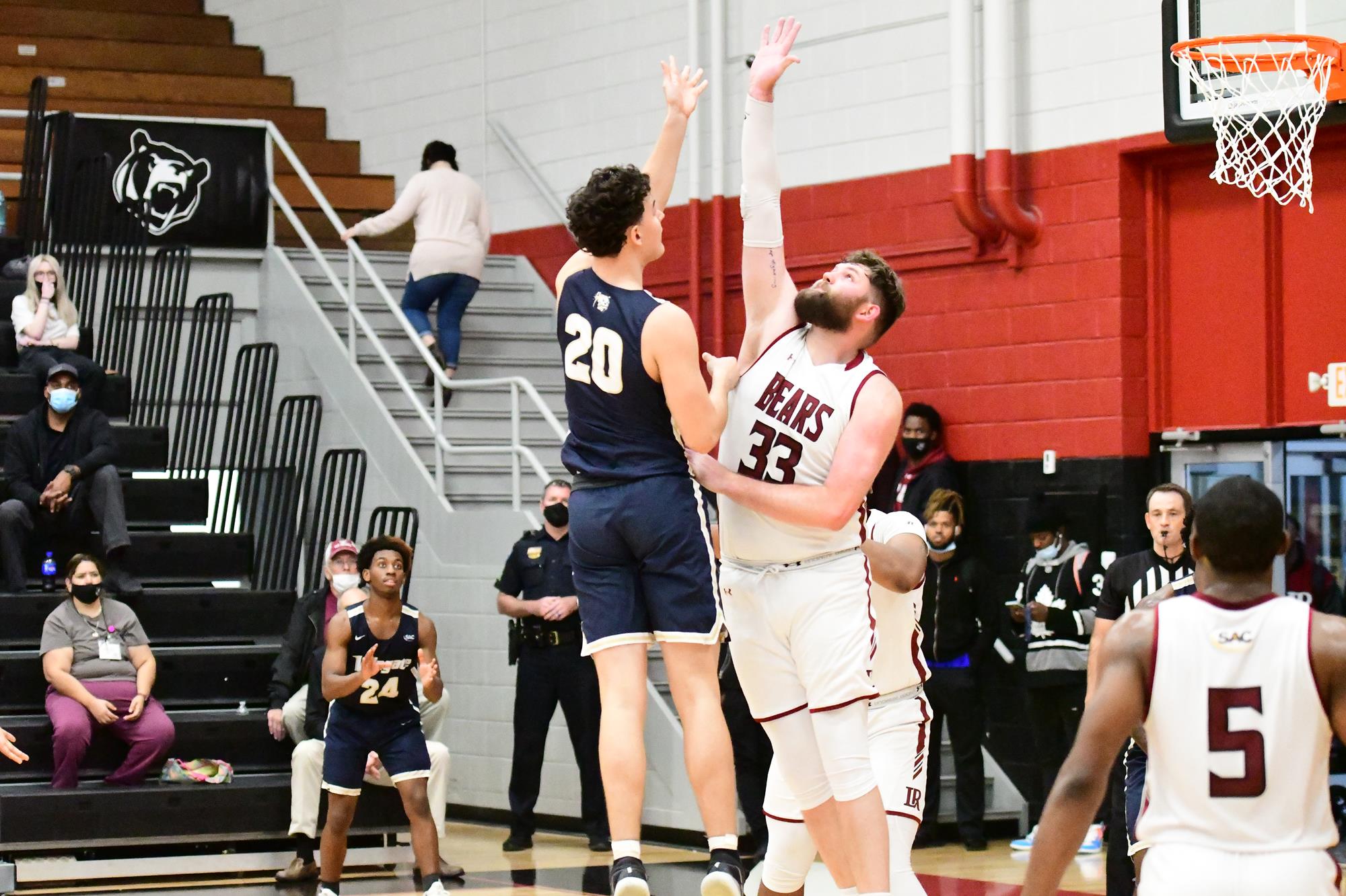 Sasha Letino Men's Basketball Wingate University Athletics