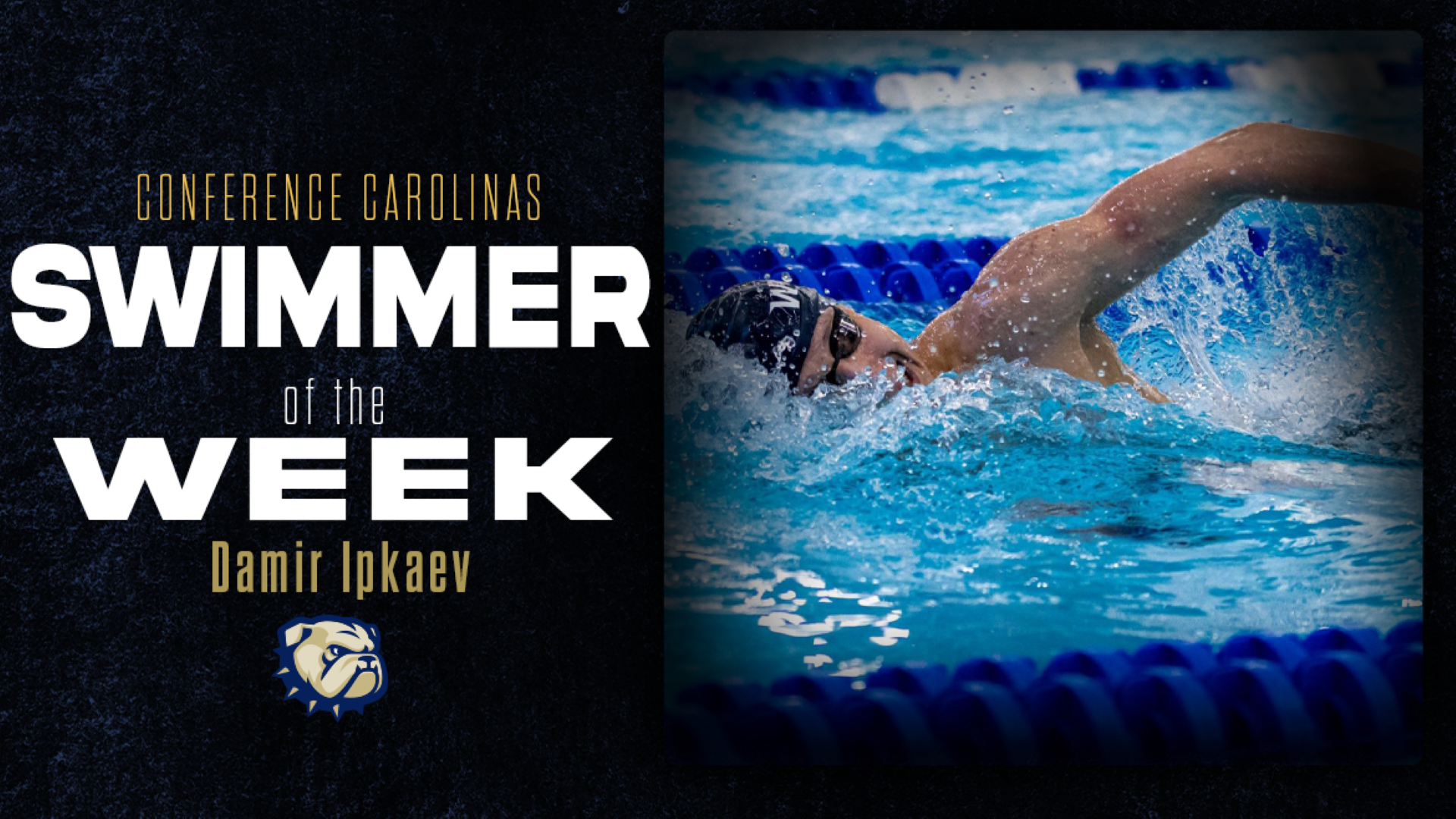 Damir Ipkaev AOTW