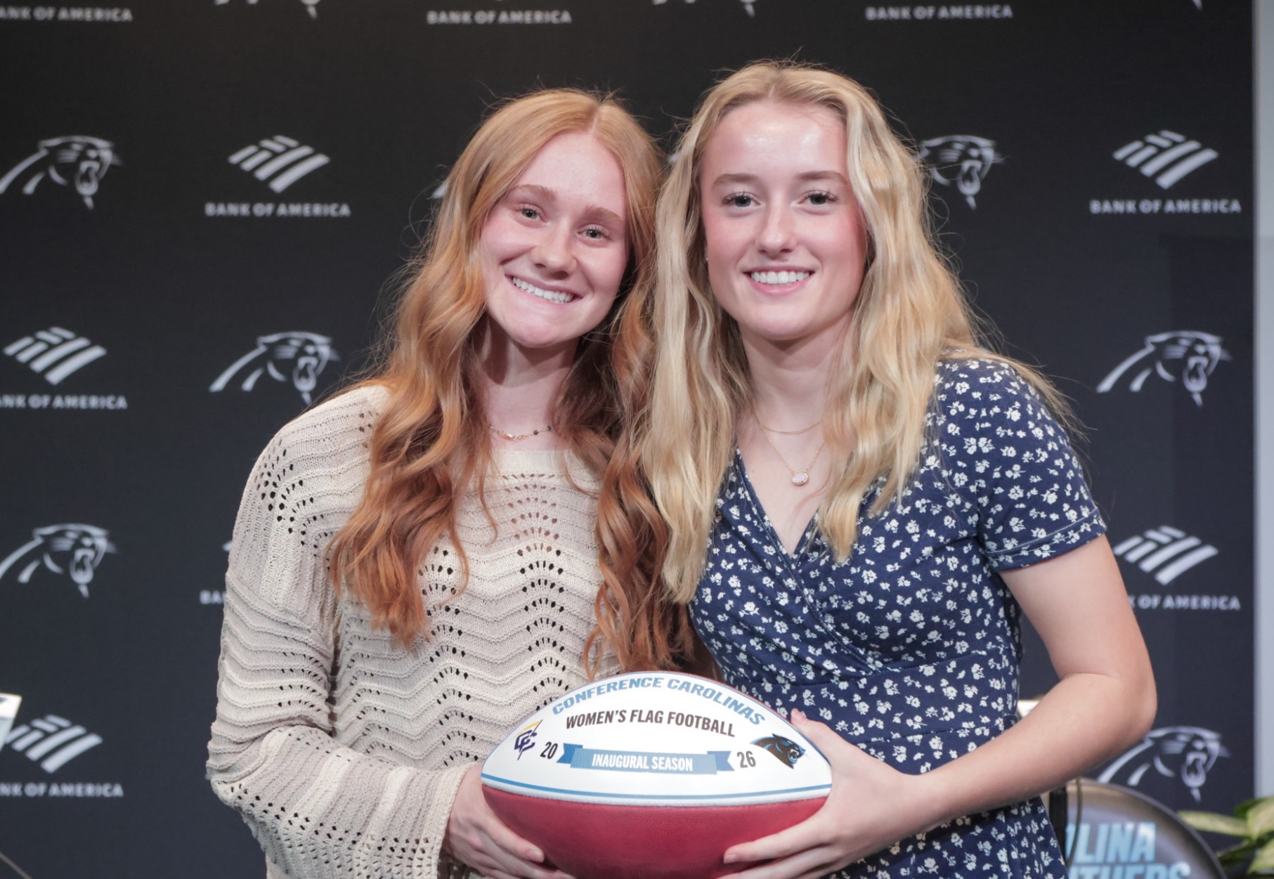 Flag at Bank of America Stadium