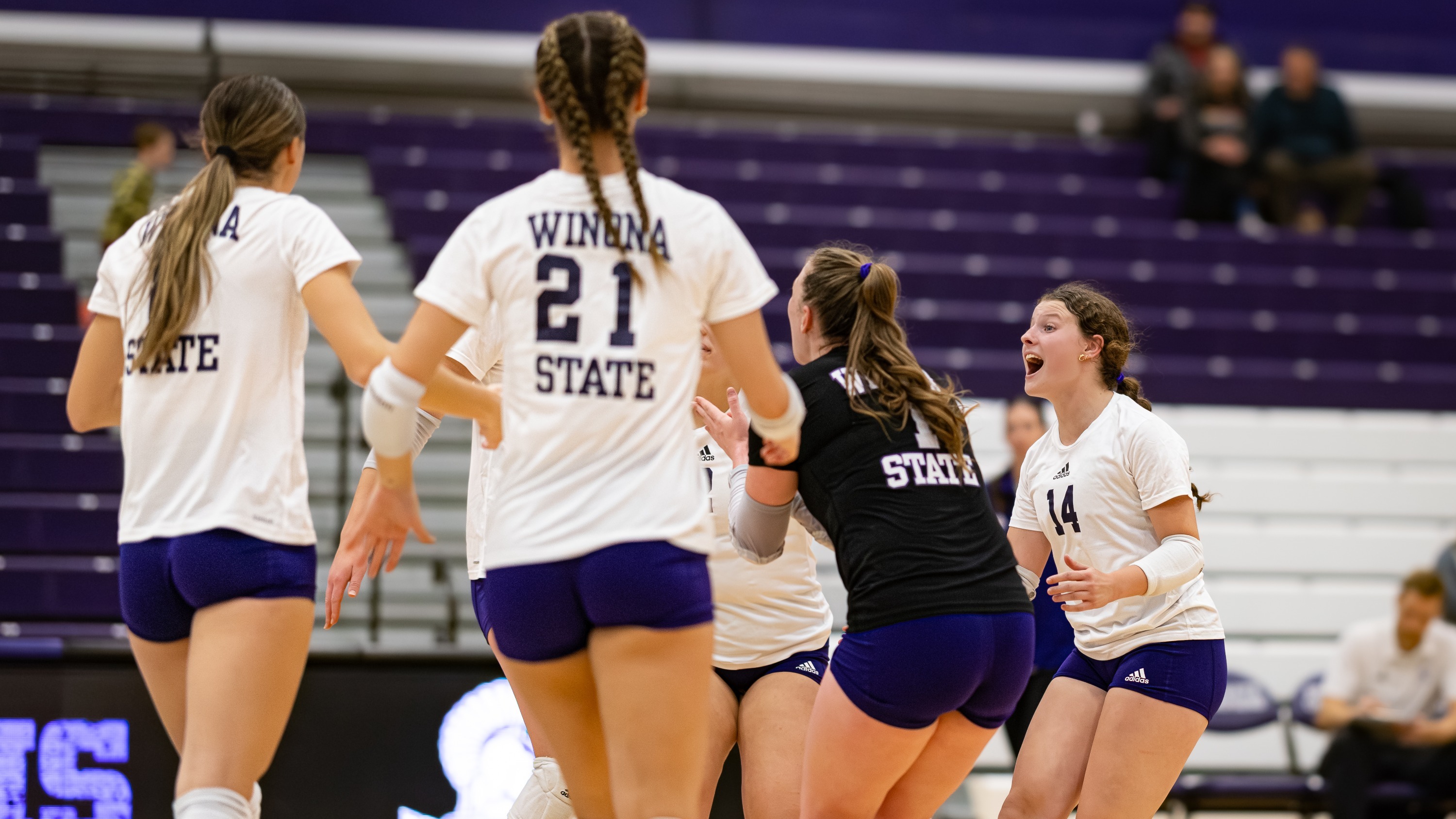 WSU_vs_MSUM_vb_postgame_2025