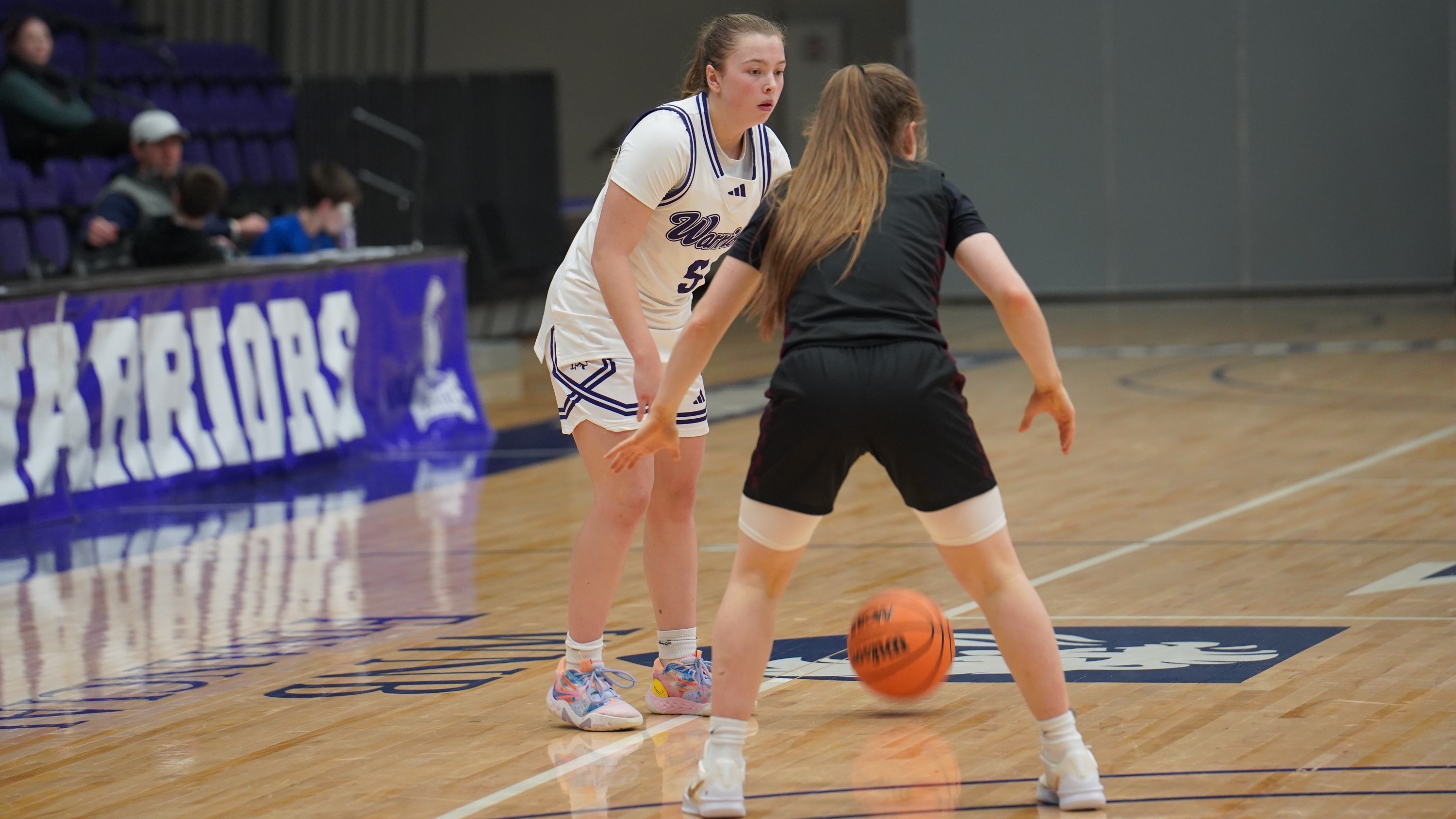 WBB vs. NSU 1/16 Recap