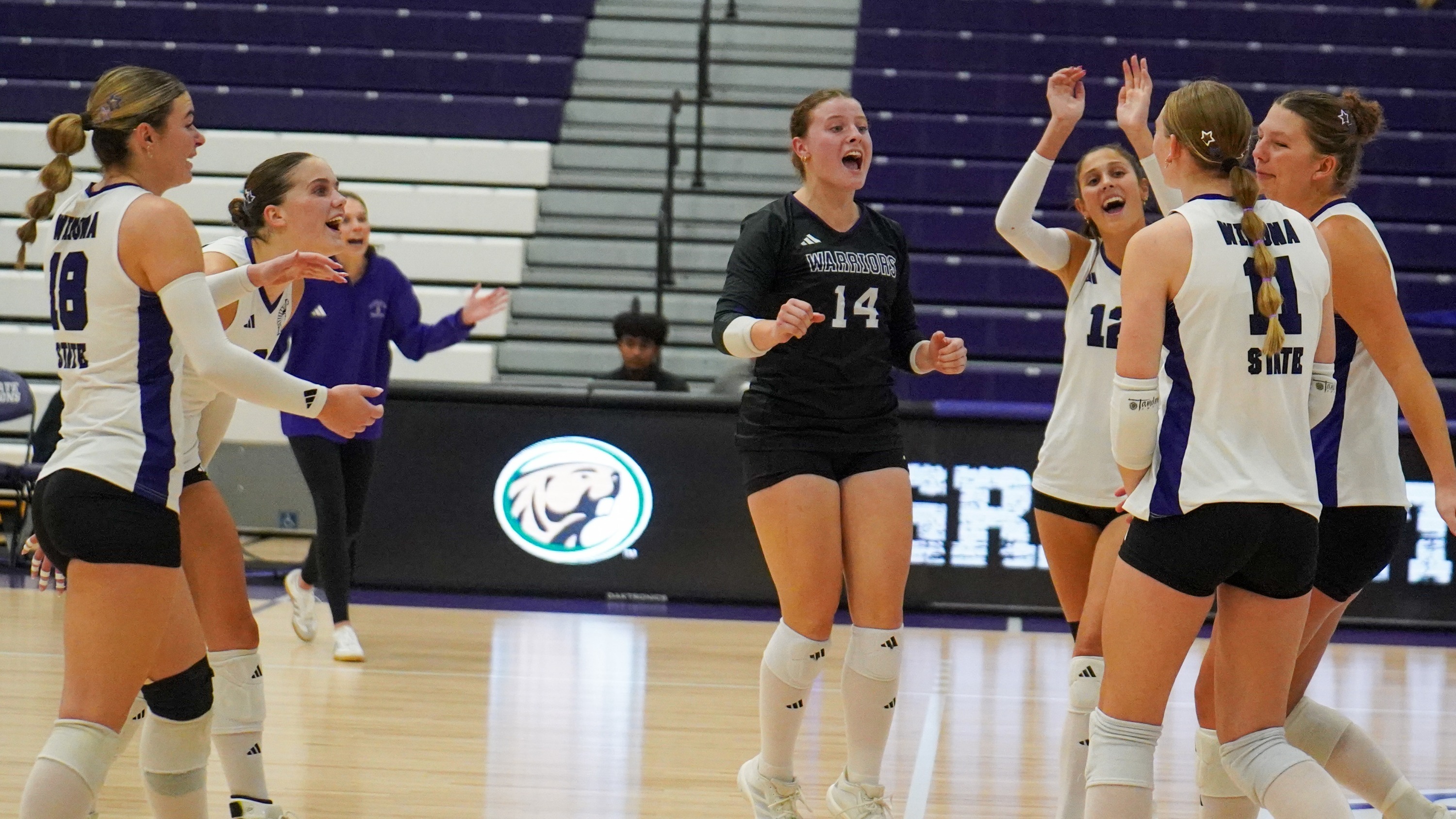 Volleyball Celebration