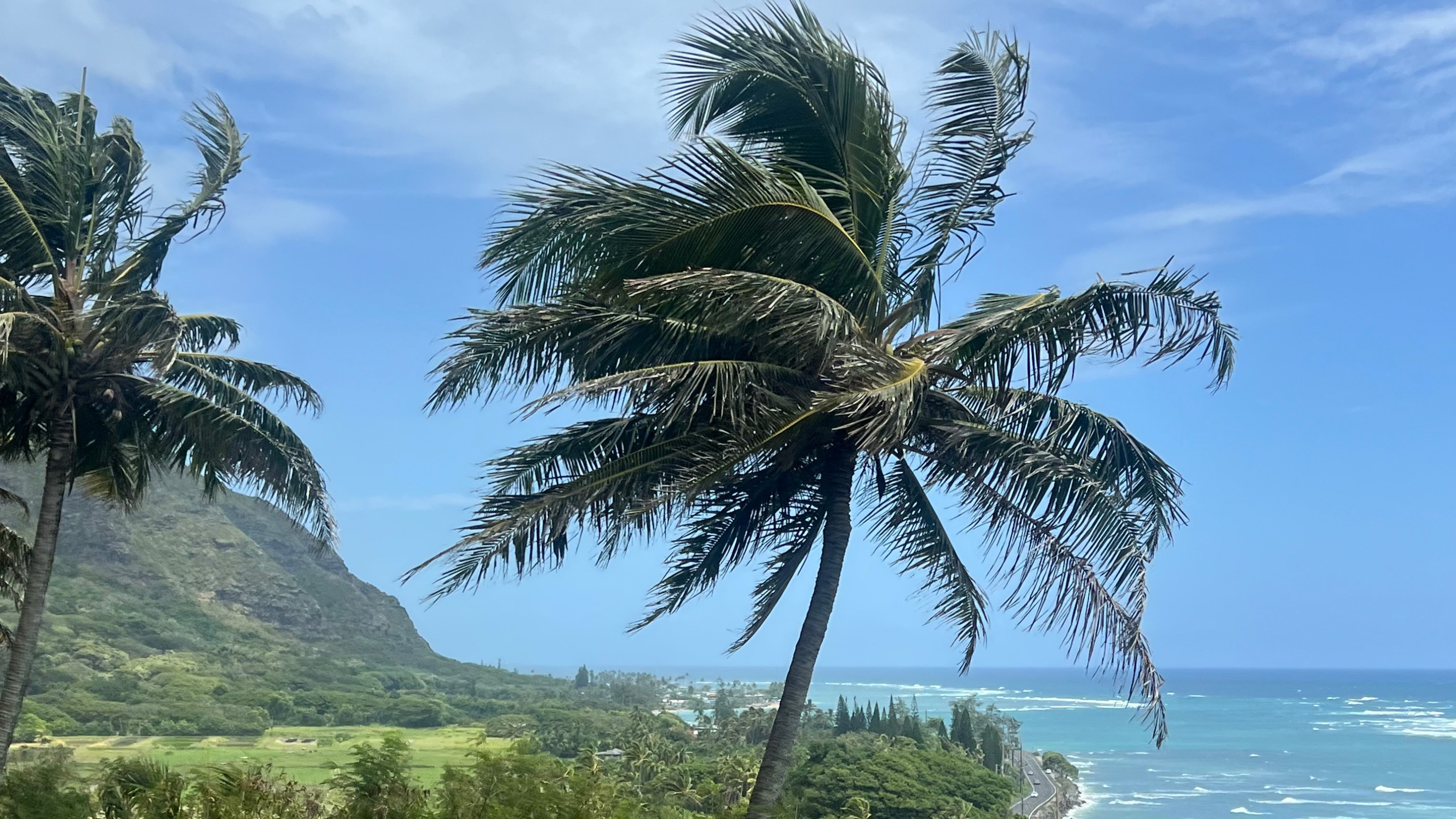 Hawaii 1