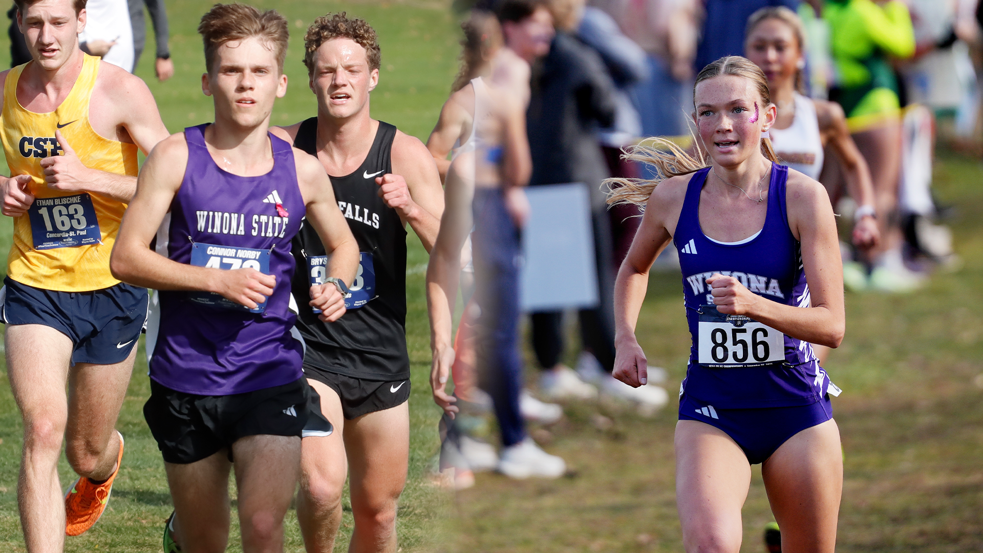 Cross Country Lewis Invite