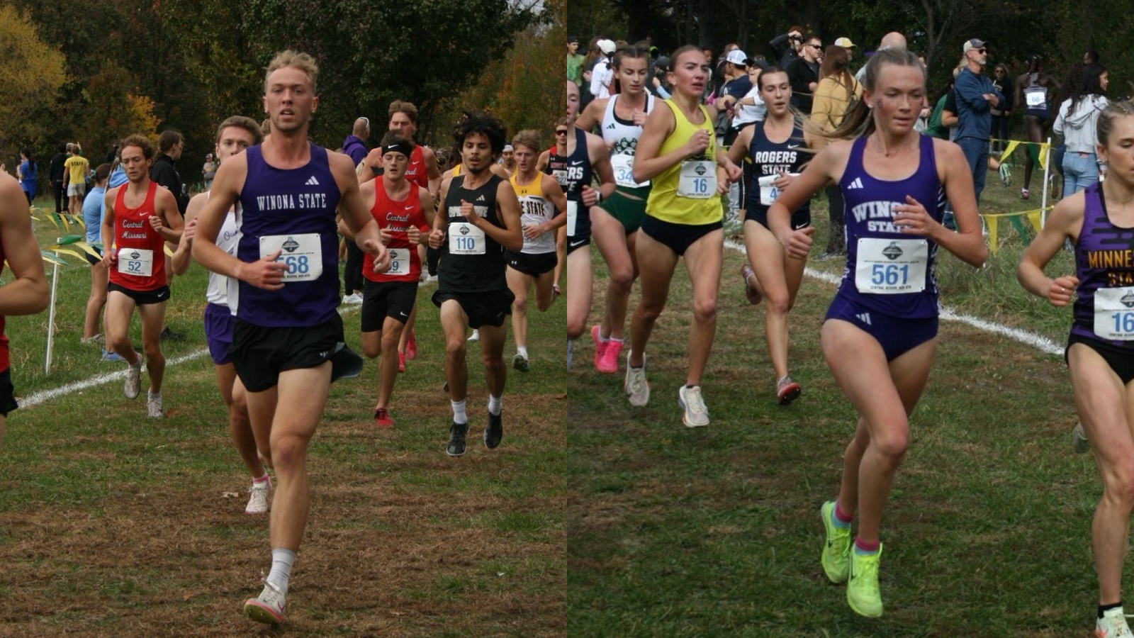 Men's and women's cross country runners