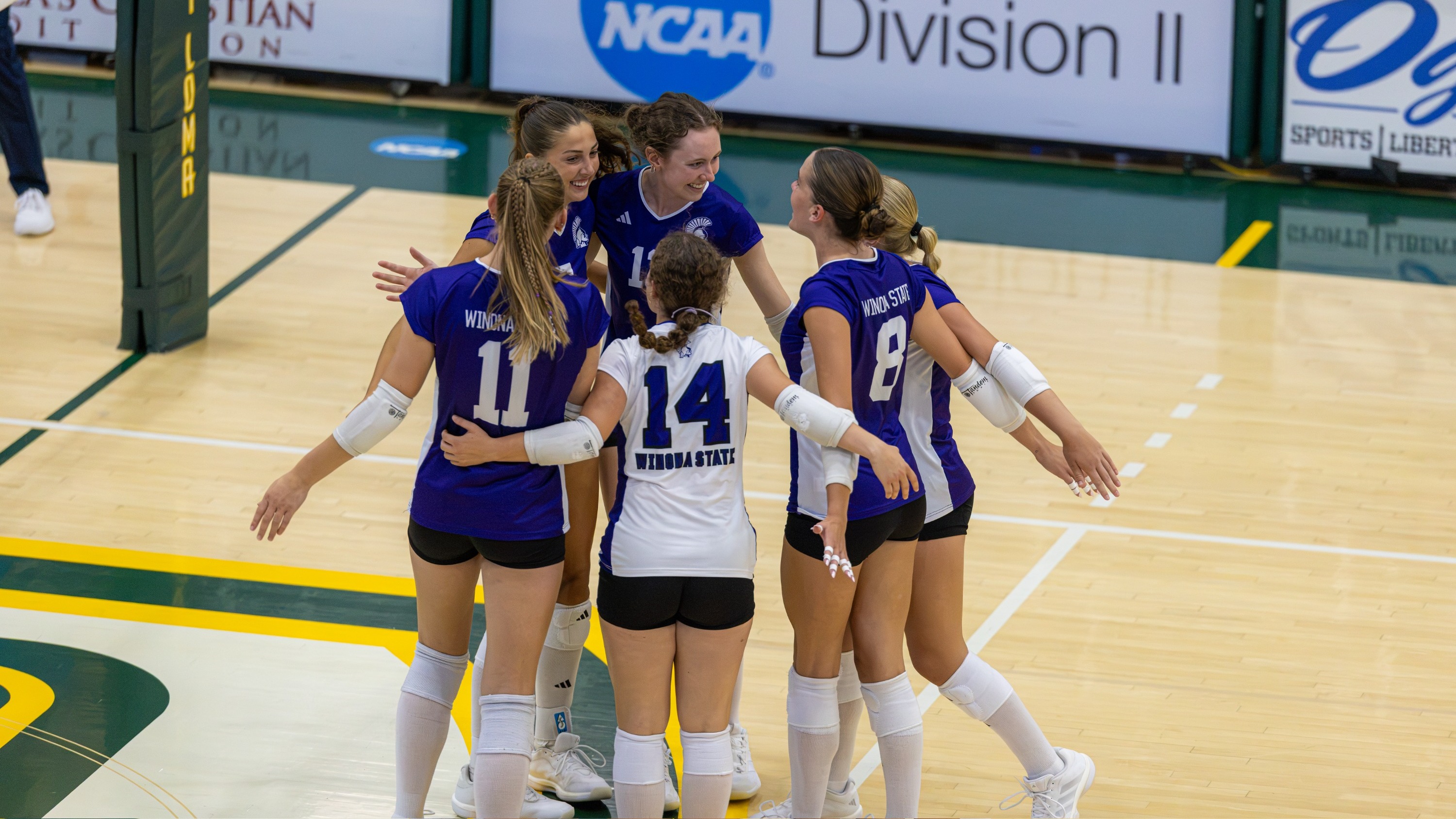 WSU volleyball