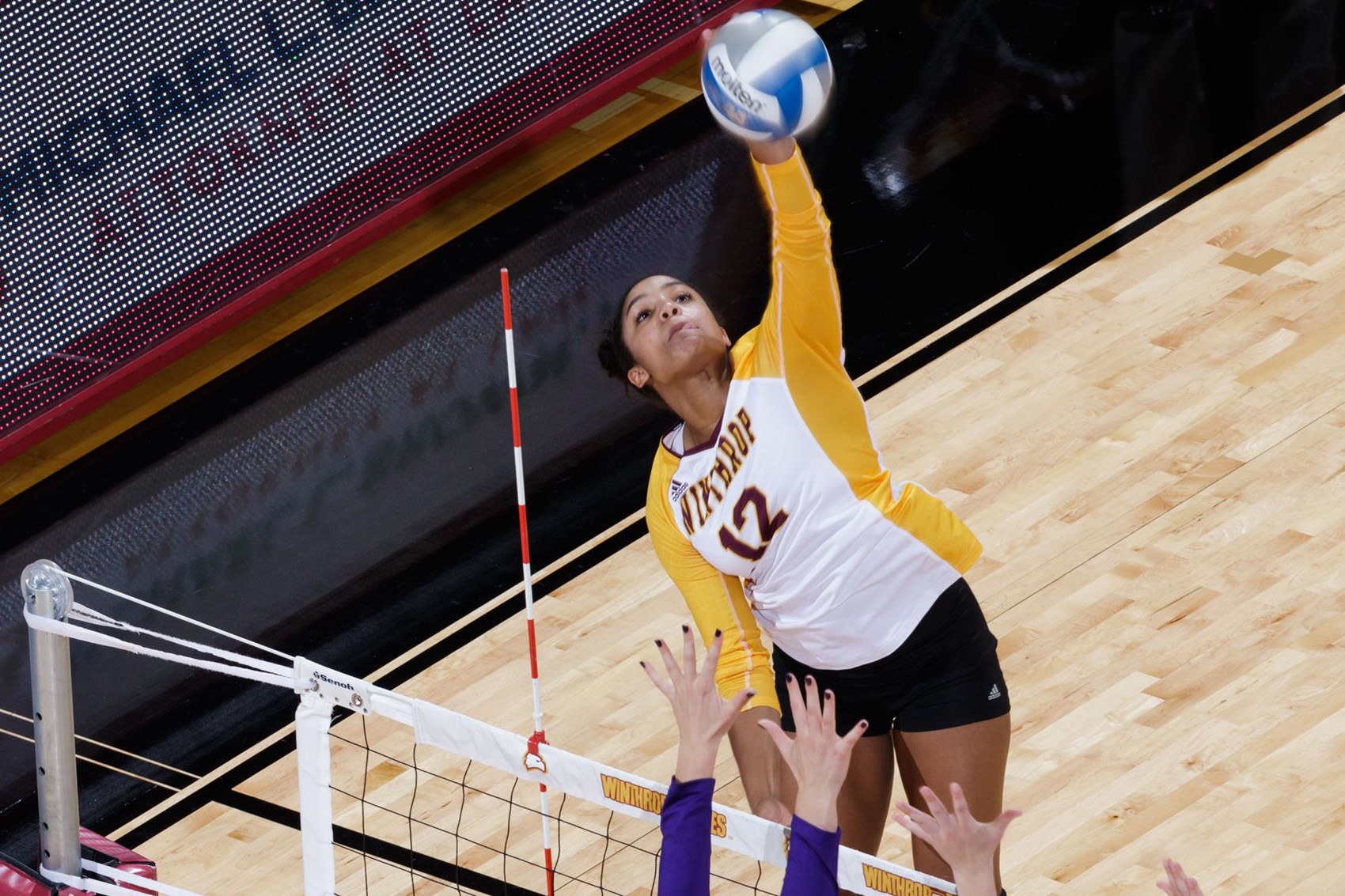 Sydney Gunter Volleyball Winthrop University Athletics