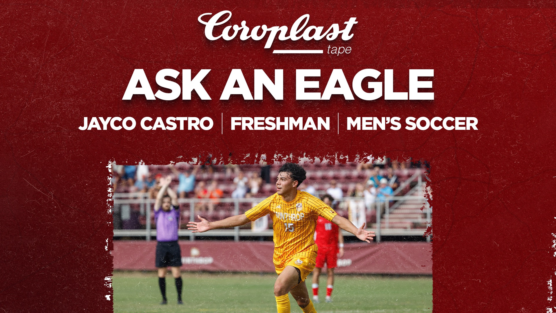 Coroplast Ask an Eagle - Jayco Castro