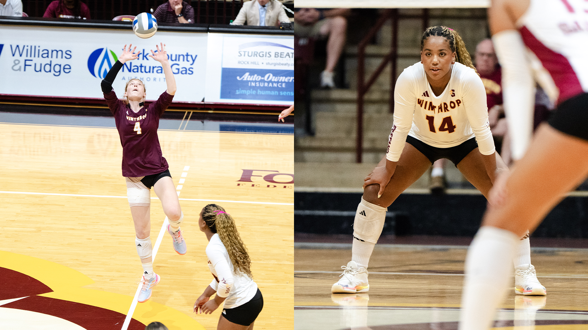 Big South Weekly Awards Thatcher and Torain