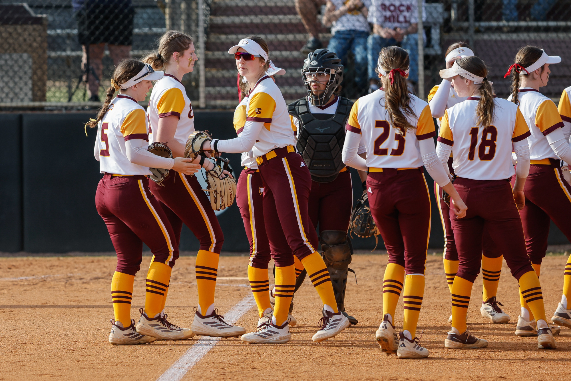Softball Team Huddle
