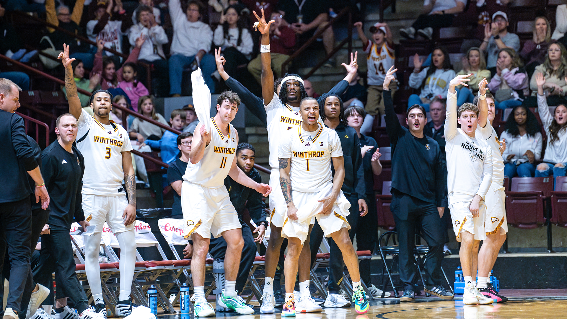 MBB Bench Celebration