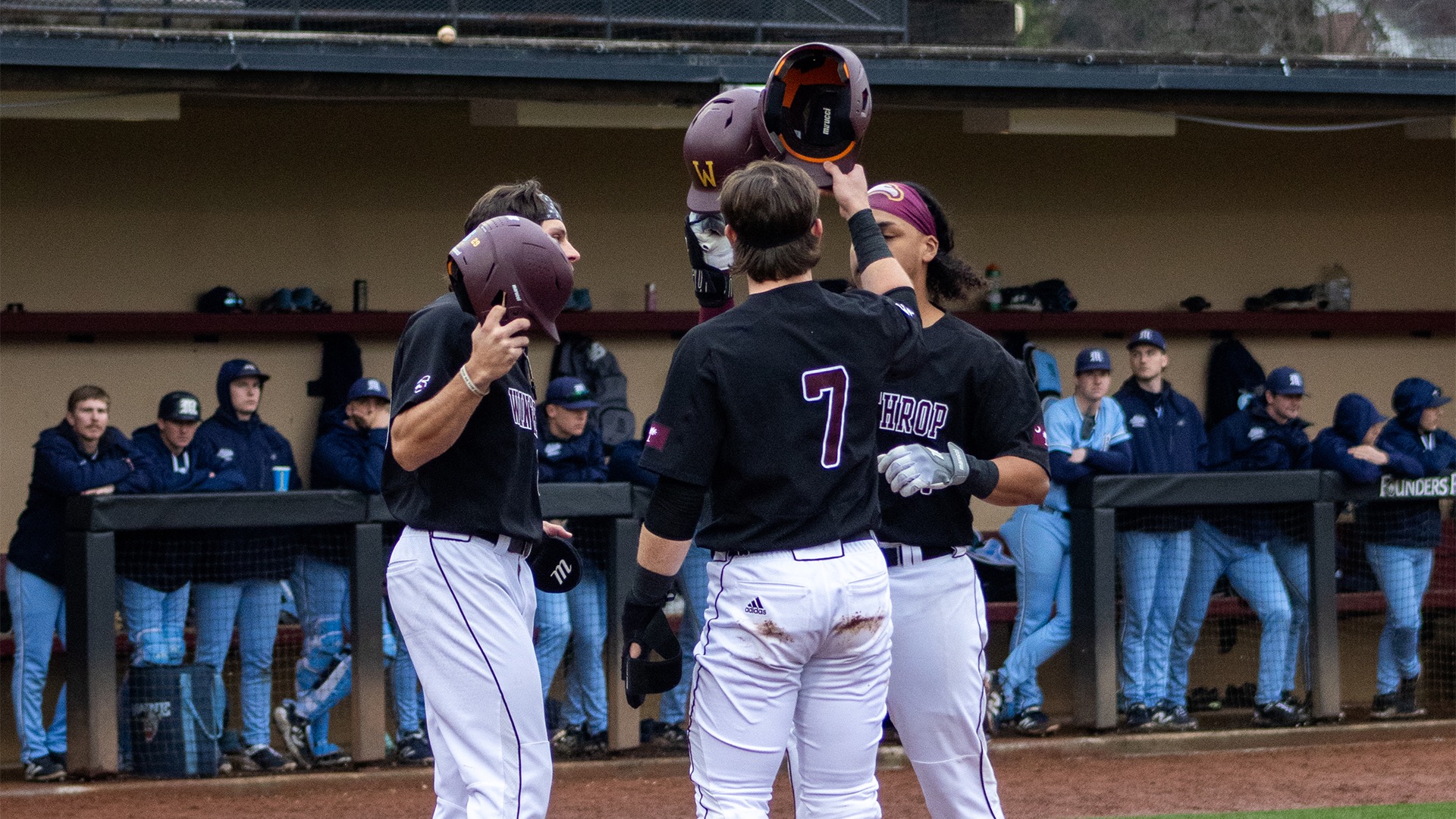 Baseball Homerun Celly