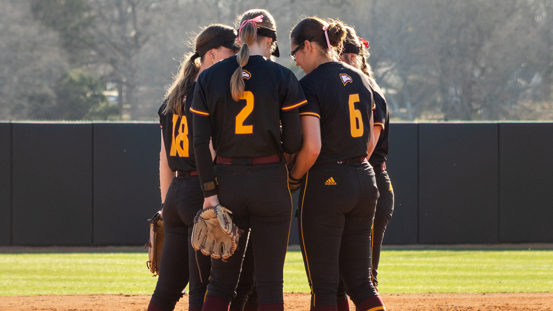 Softball Huddle