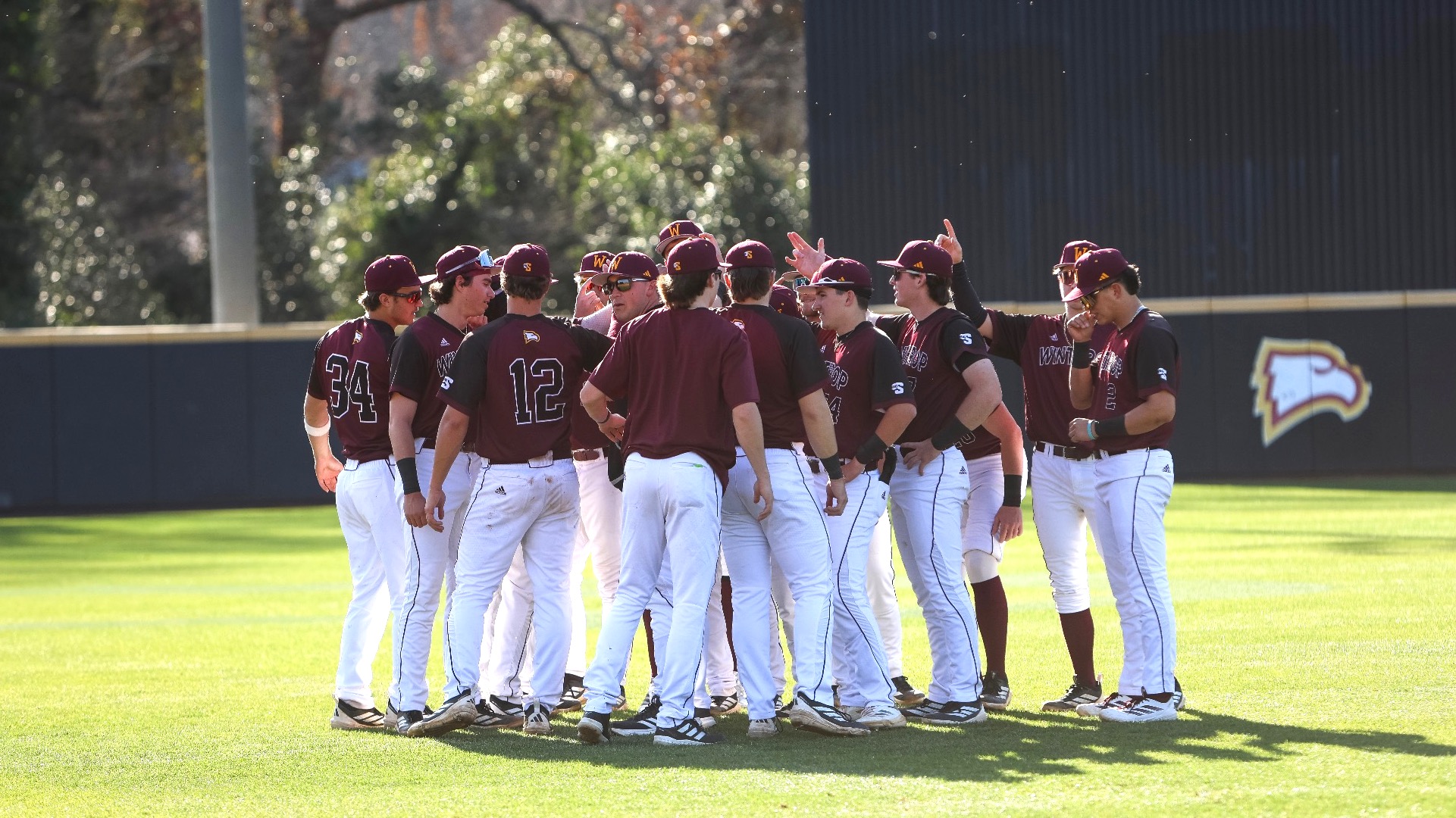 Baseball Huddle