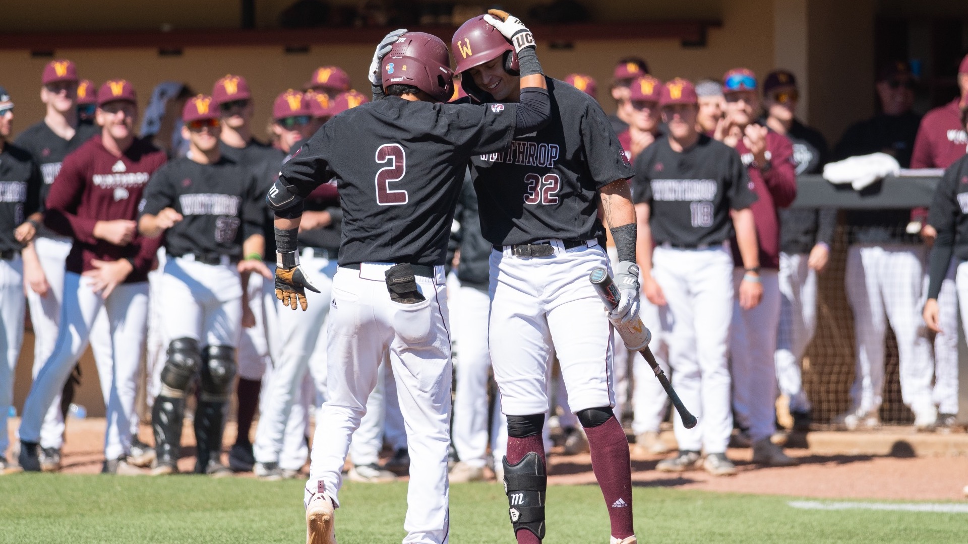 Baseball Celebration