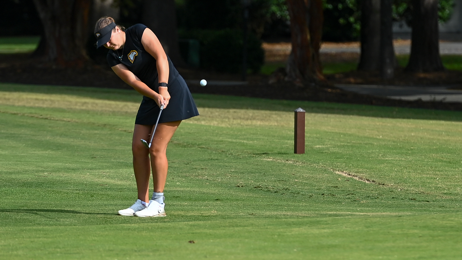 Maelle Dreyer Chipping