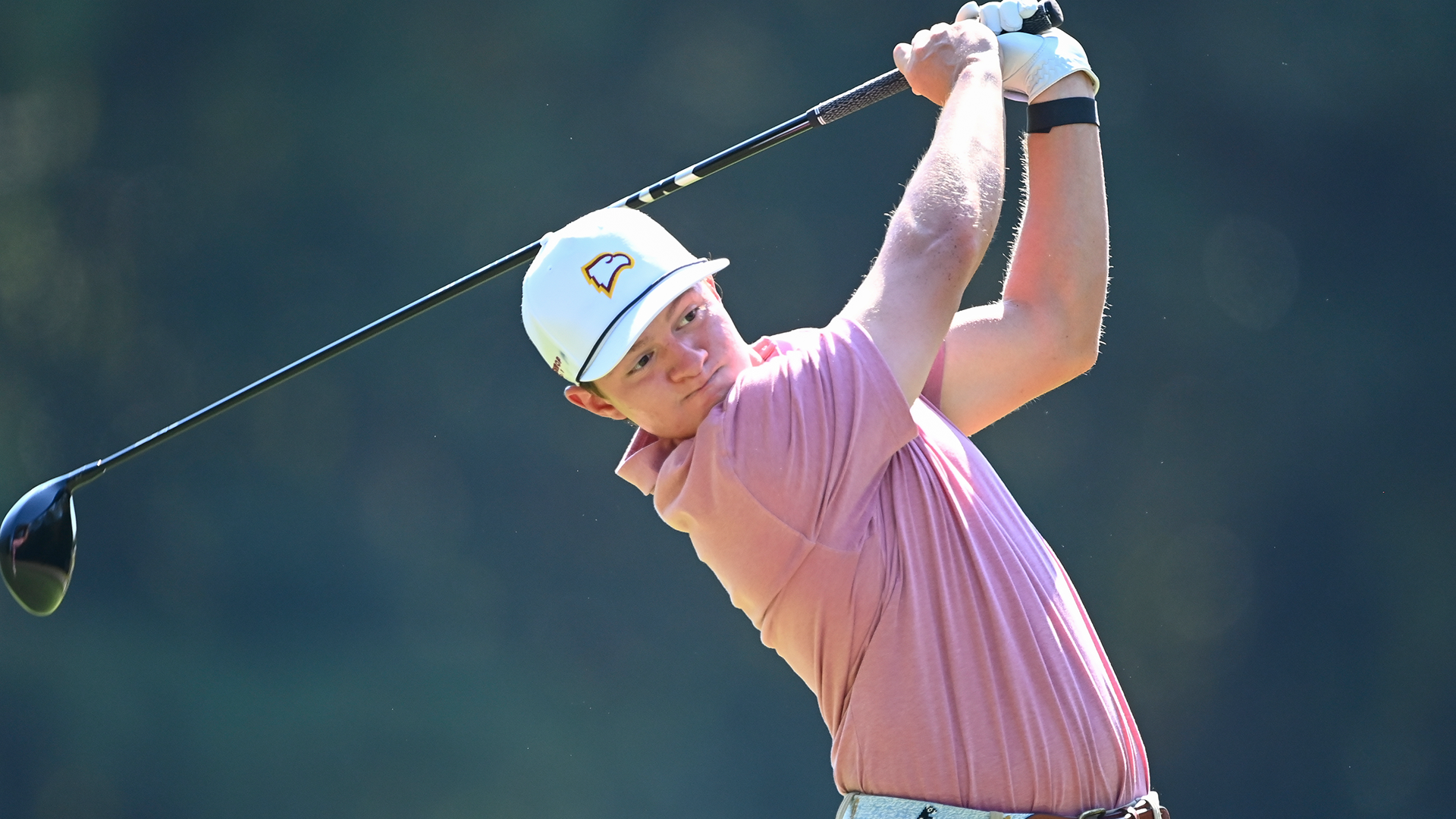 Dylan Park Swinging Golf Club 