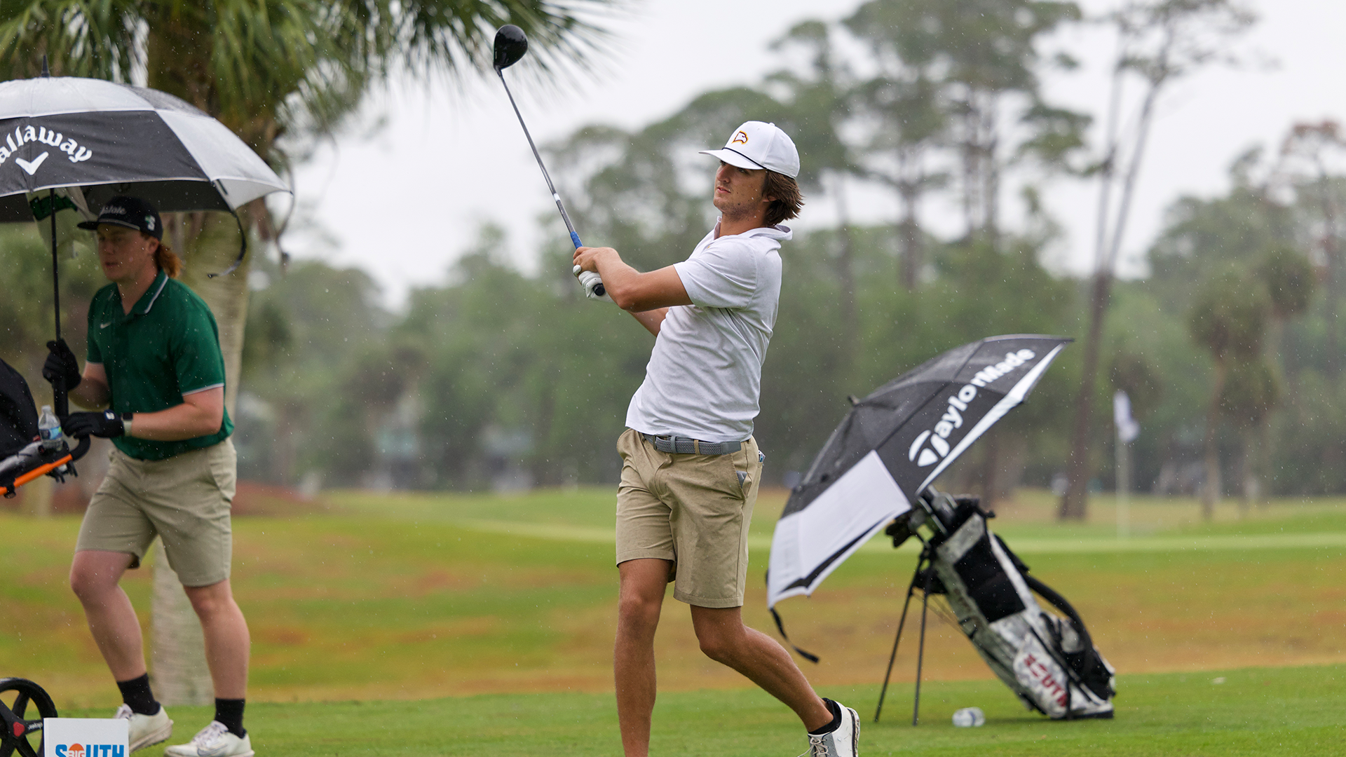 bpc-157 golfer ebow Regeneration or Risk? A Narrative Review of for Musculoskeletal Healing BPC-157 and tendon healing: what