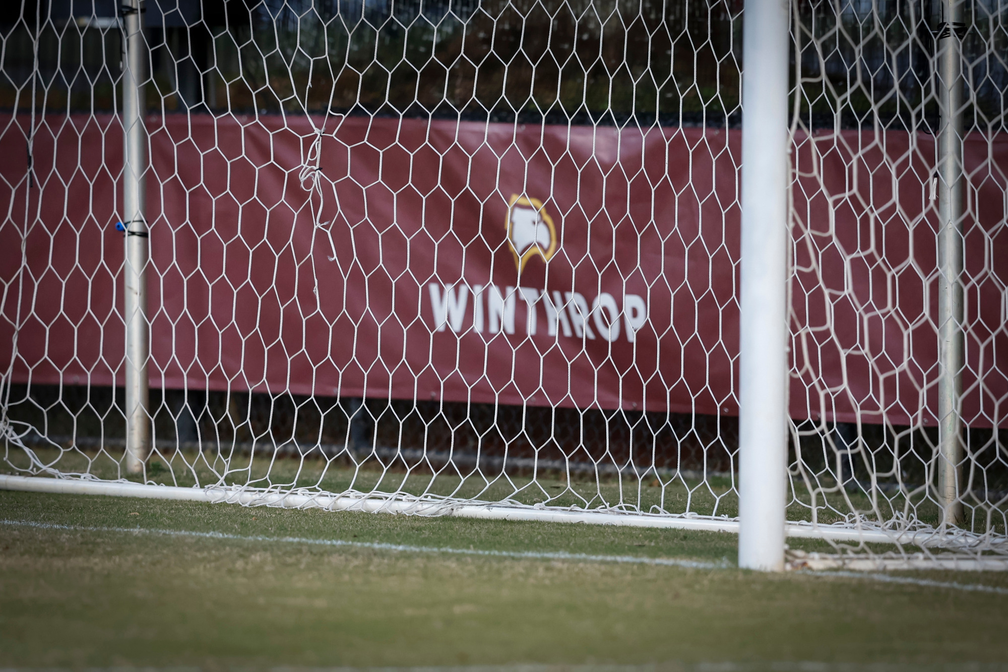 Soccer Goal
