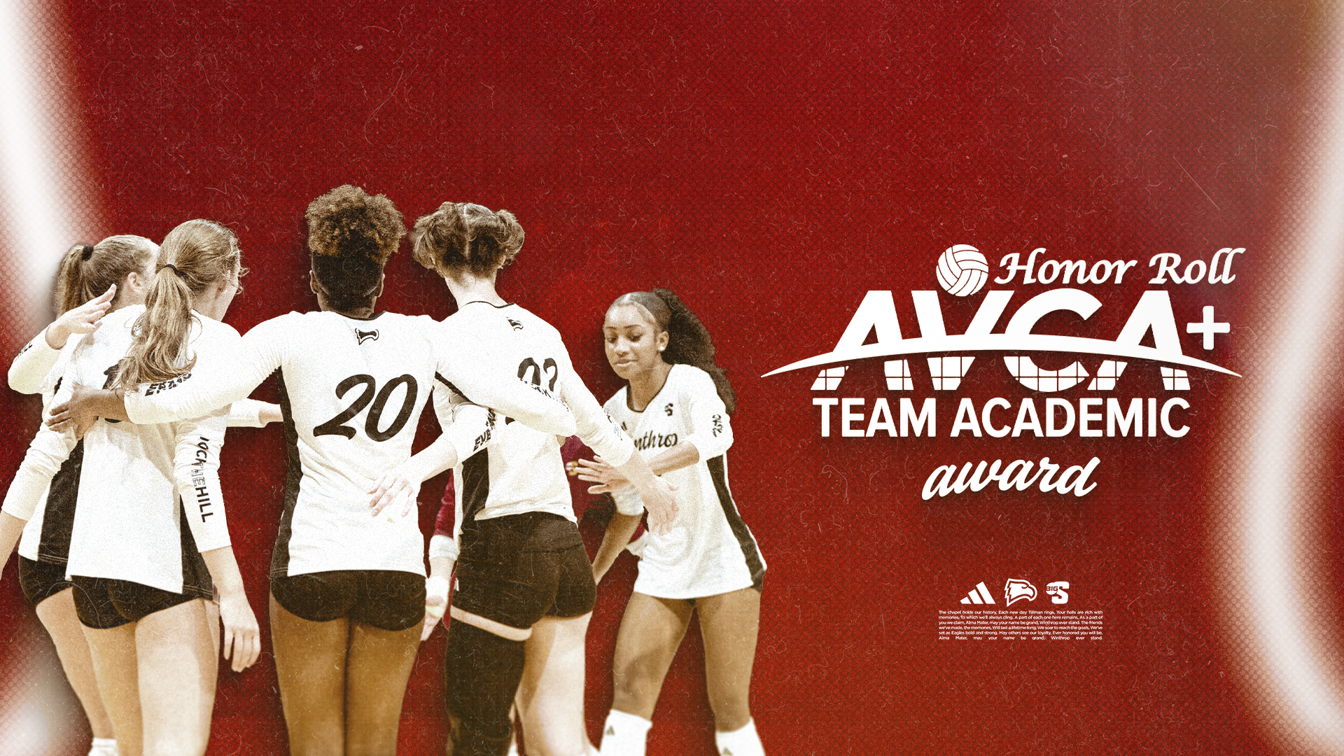 VB AVCA Team Academic Award
