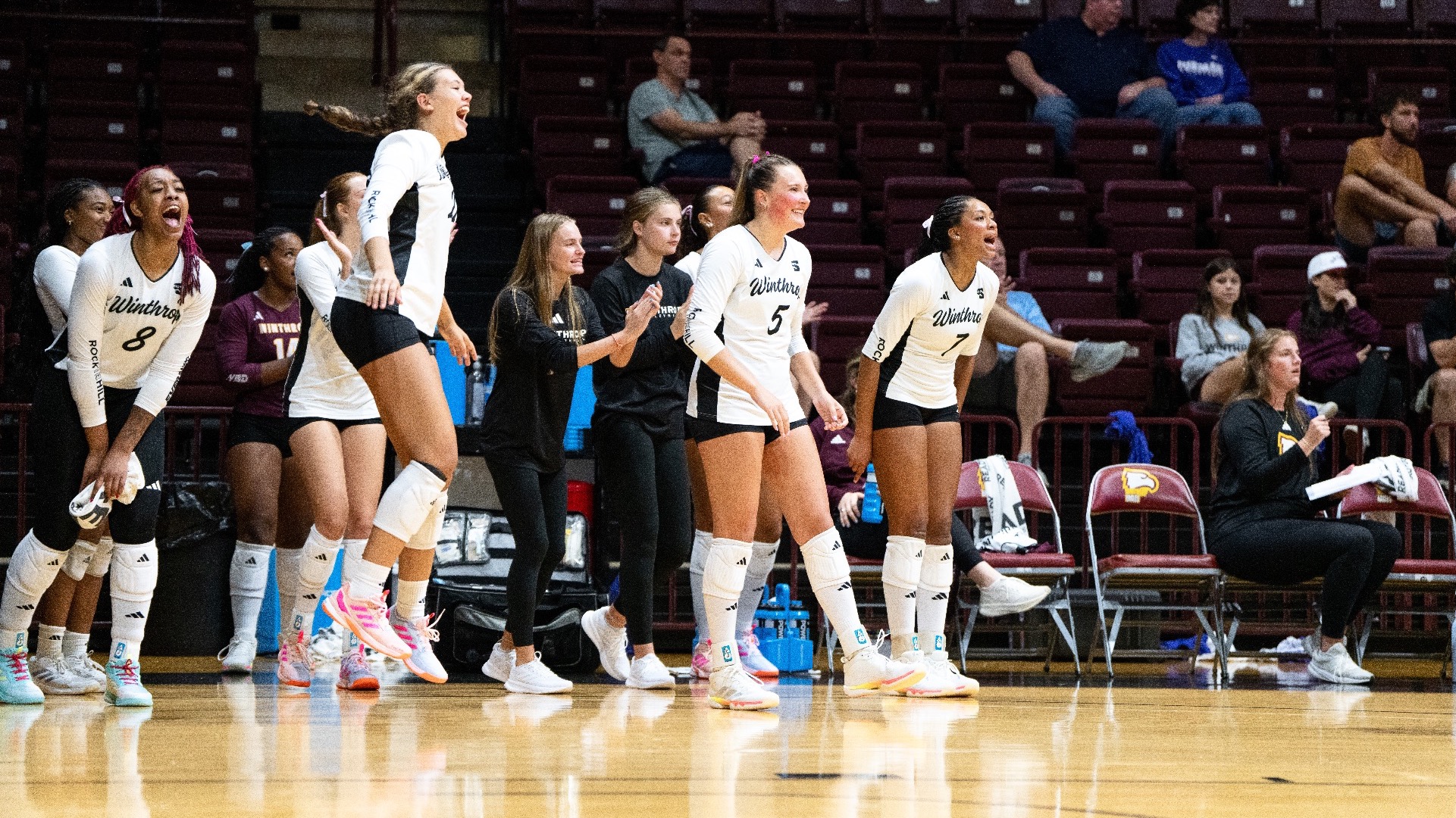 Volleyball Bench Celly