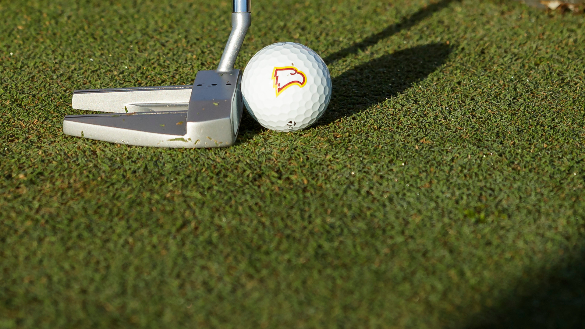 Putter and Eagle Golfball