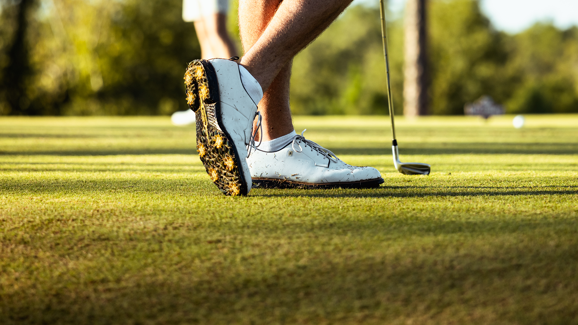 Men's Golf