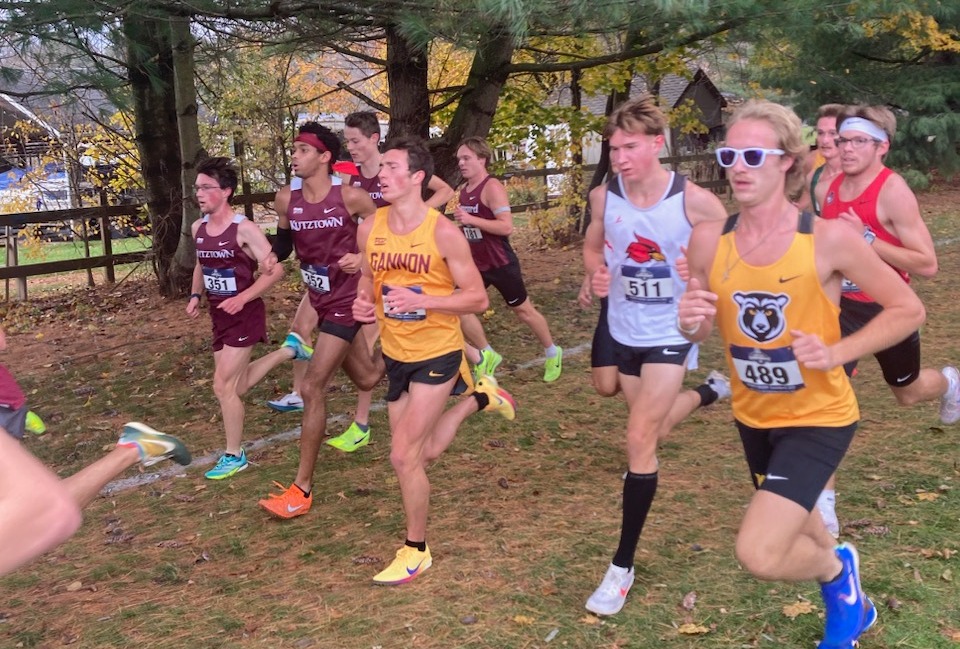 Polkner Regional Run 