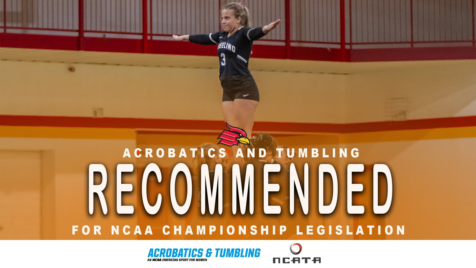 NCATA Recommended