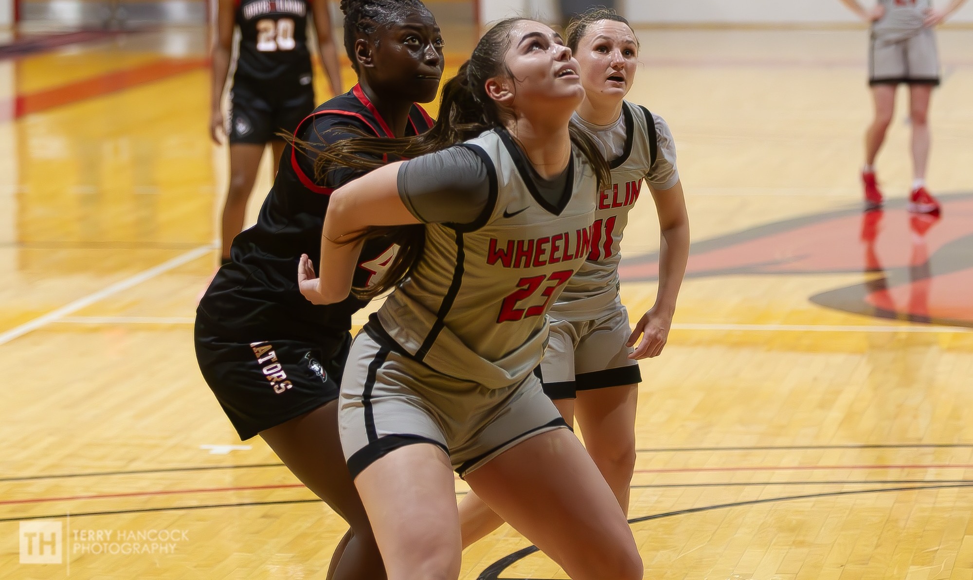 Emma Reynolds Boxout