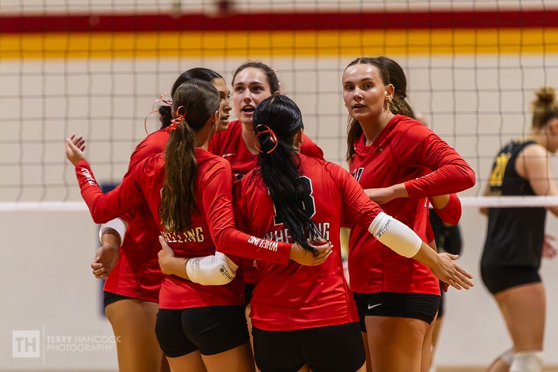 vb team flick