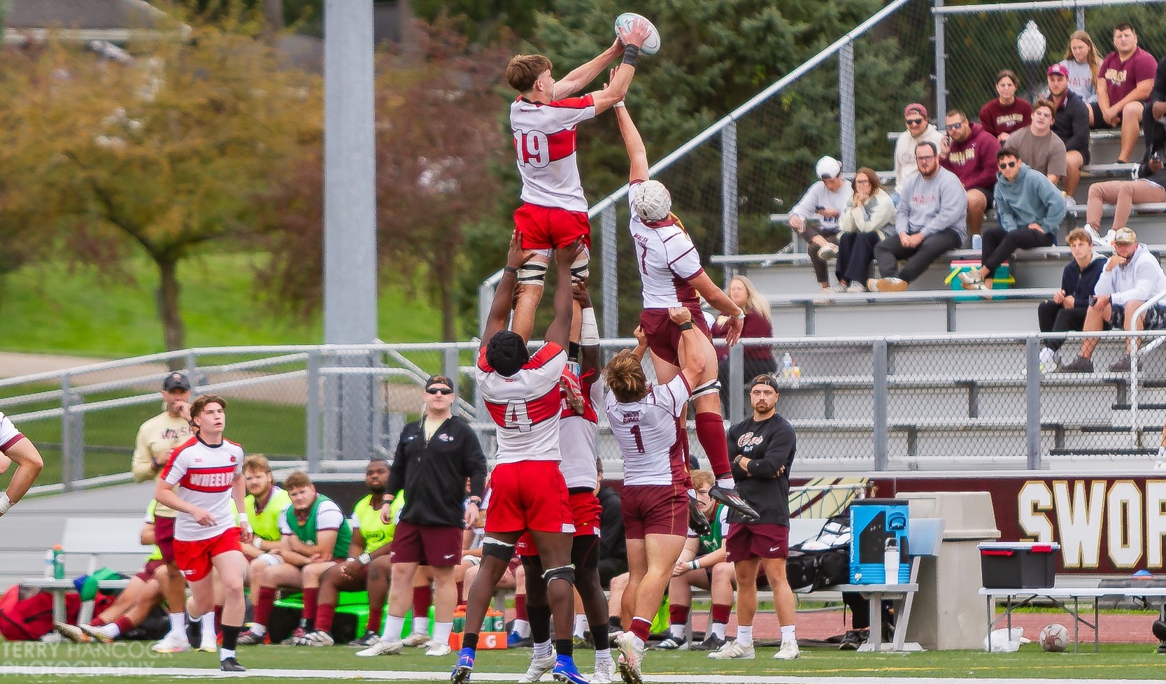 Men's Rugby