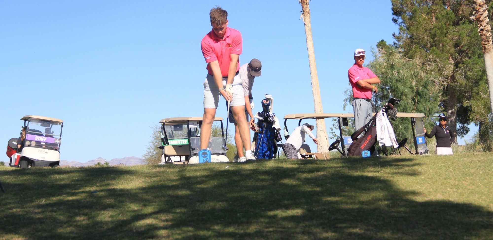 Men's Golf