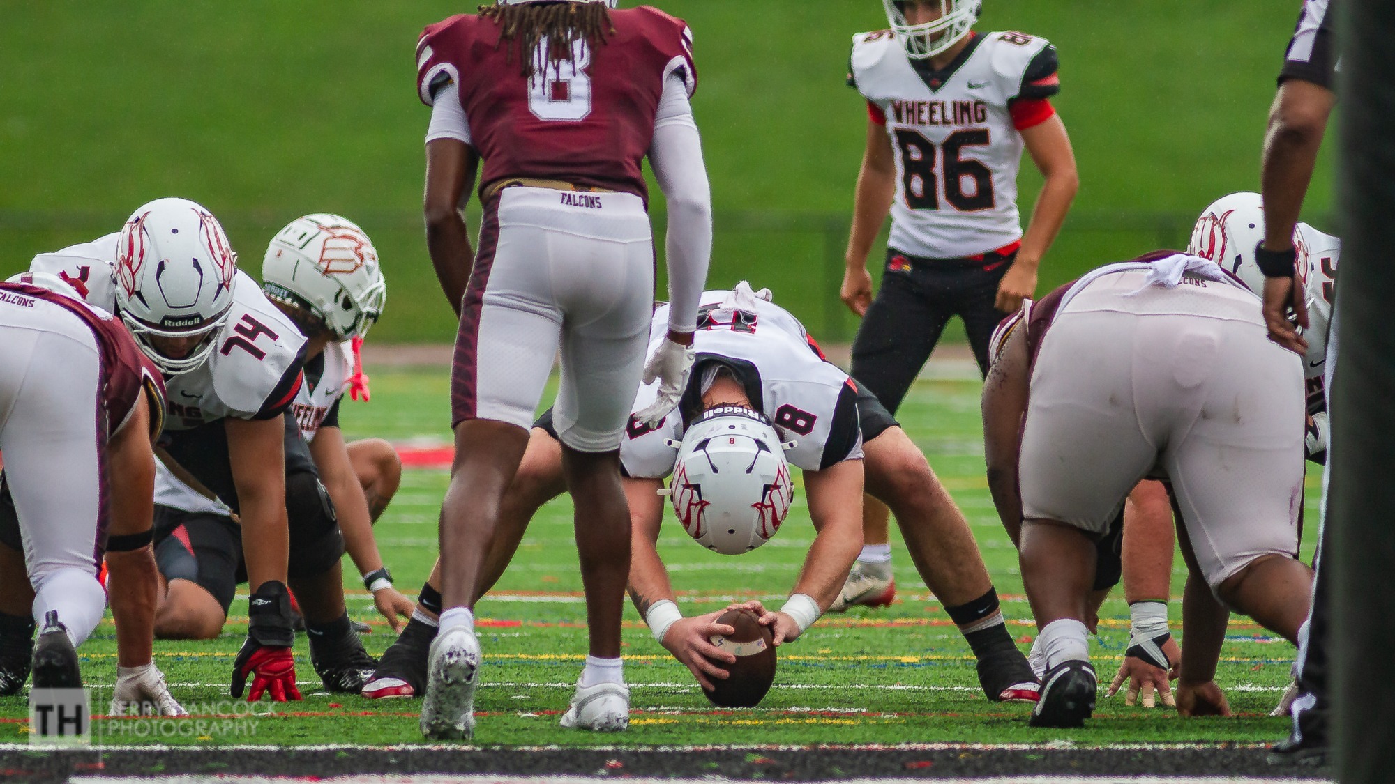 Long Snapper