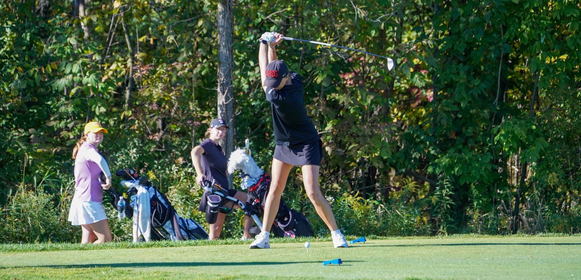ODI Womens Golf