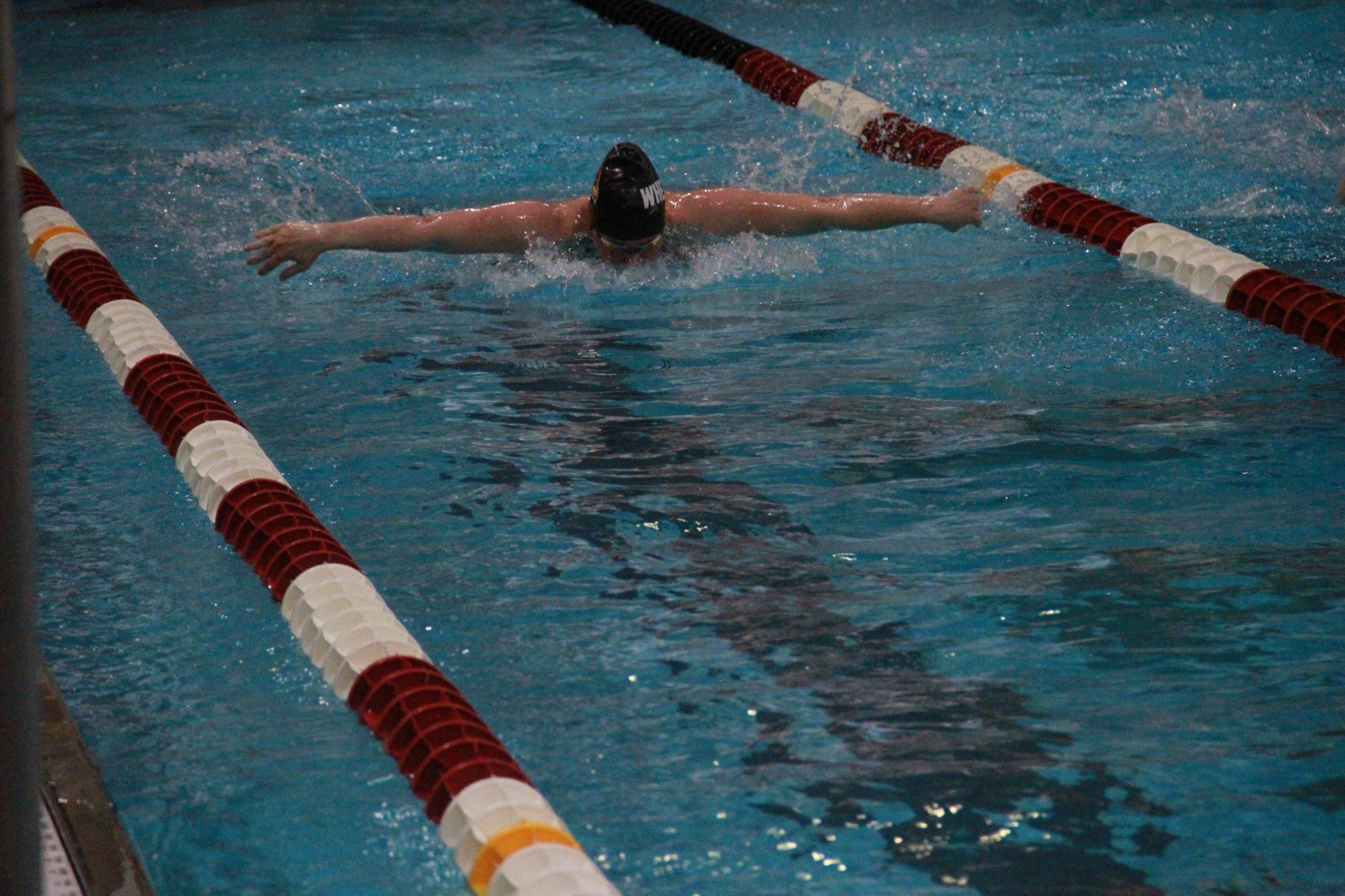 wswim fly
