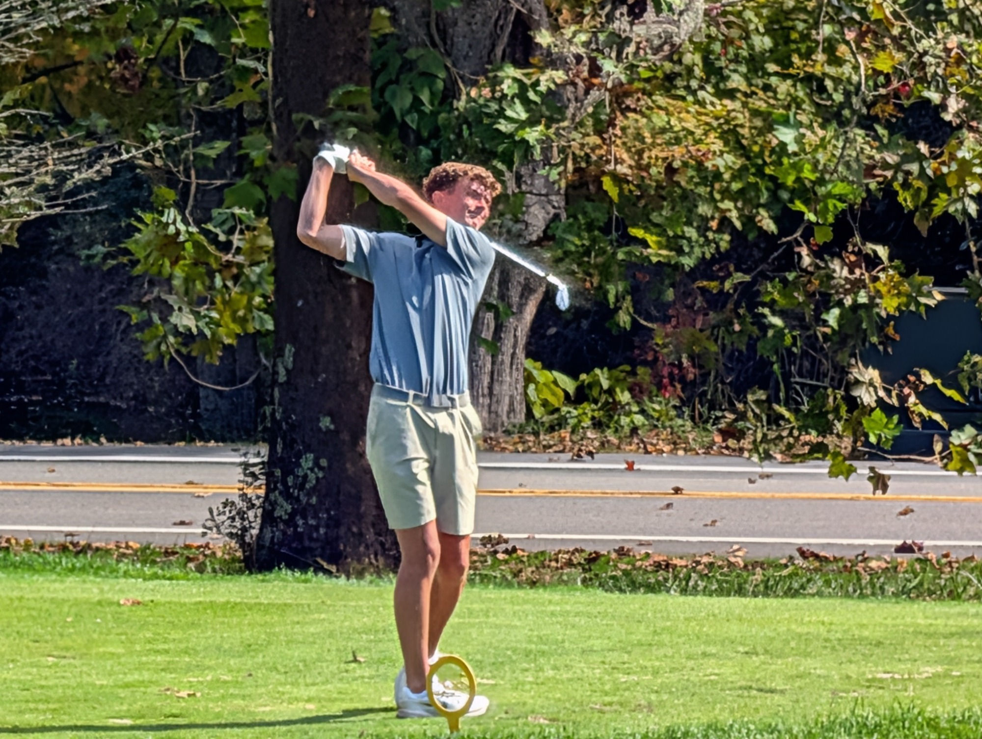 Pearson Swing