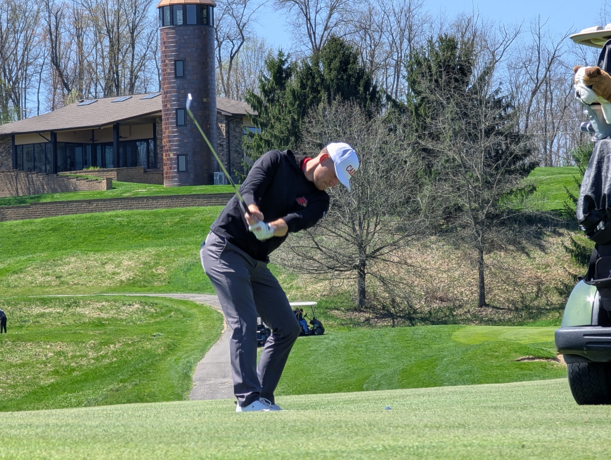 Collins Swing