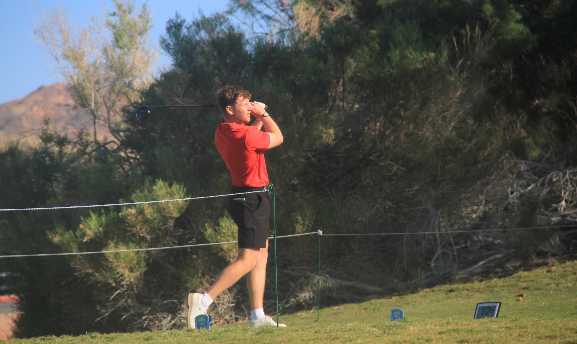 Dobson Tee Off