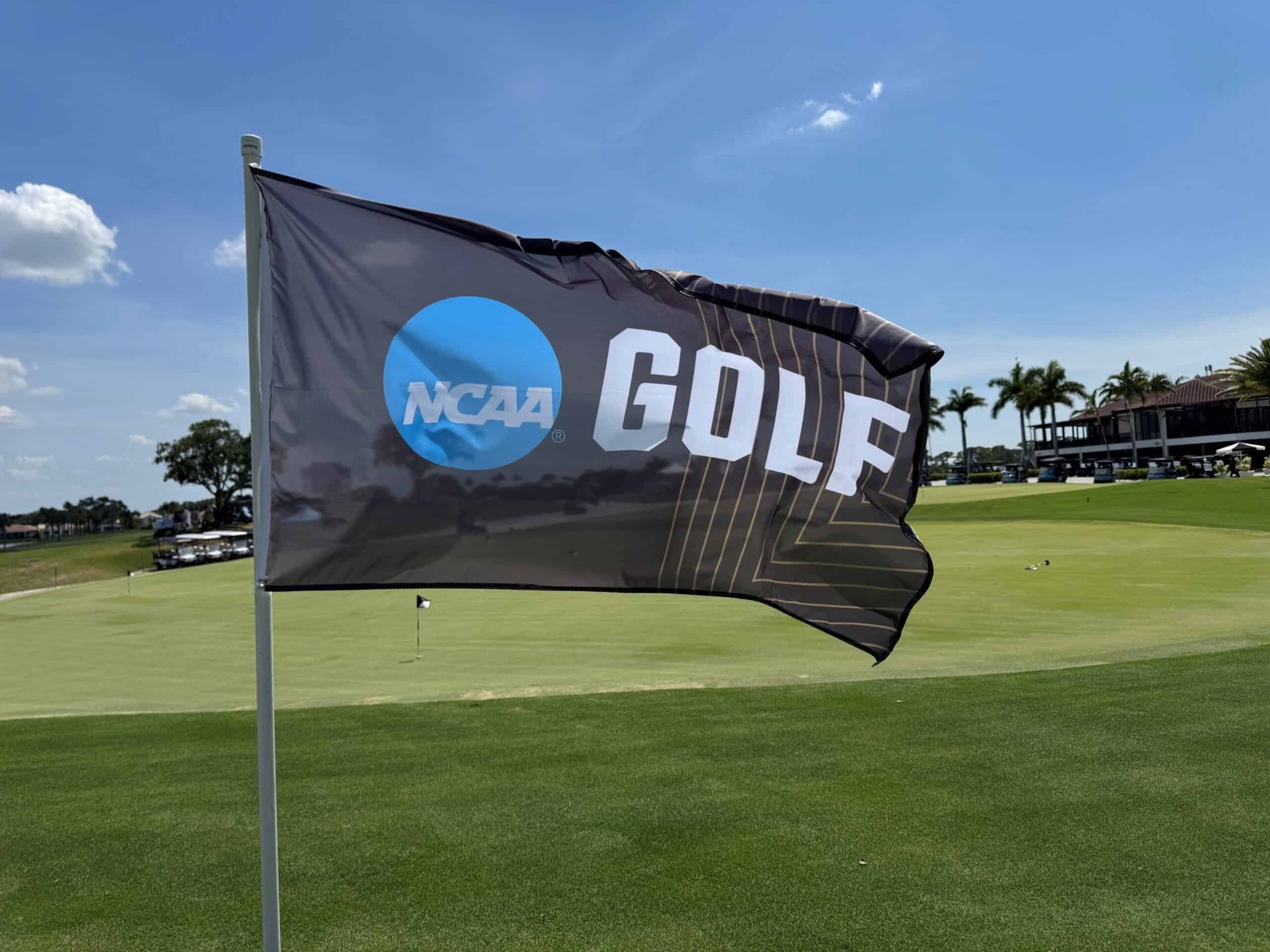 NCAA Golf Flag
