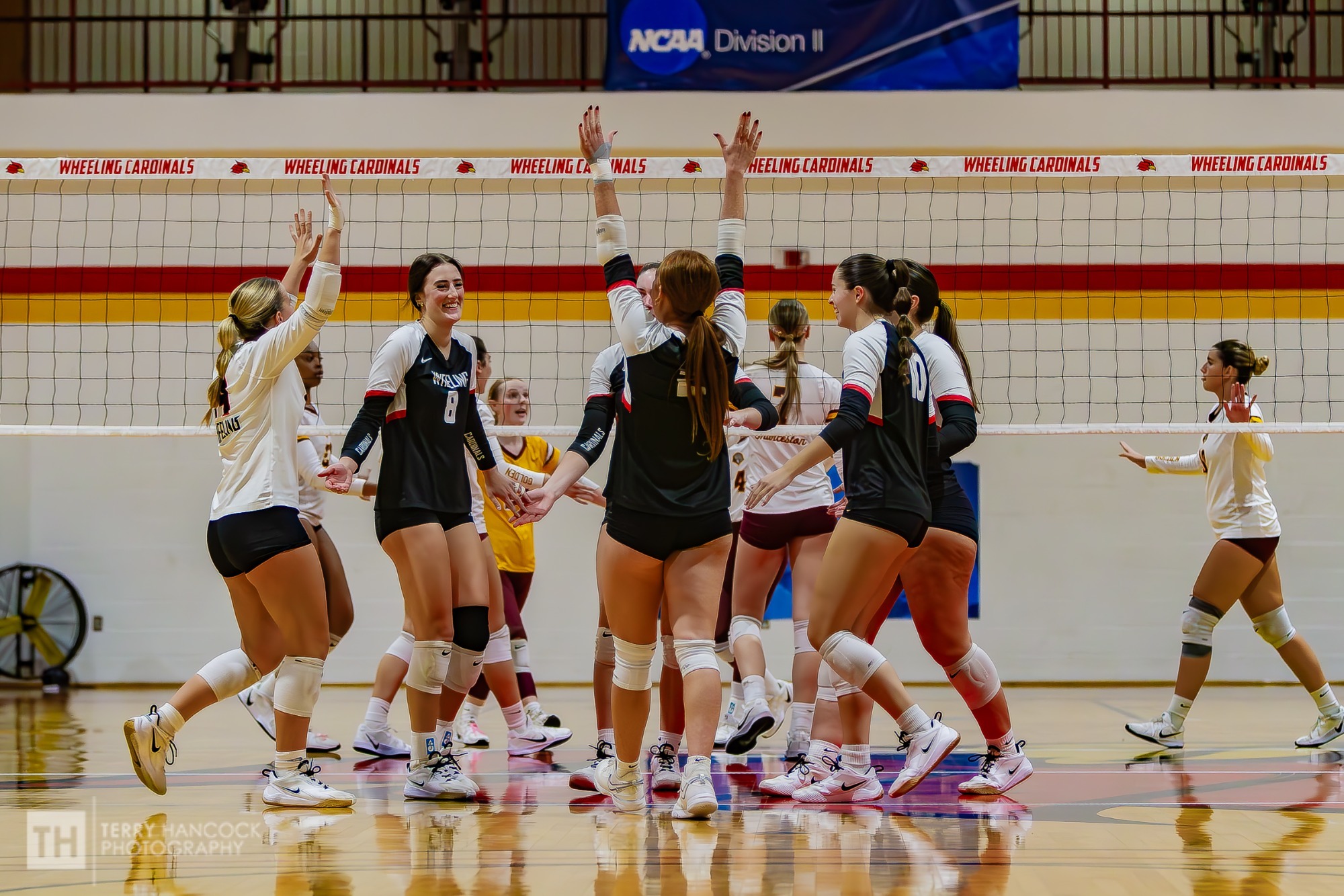 VB Celebration