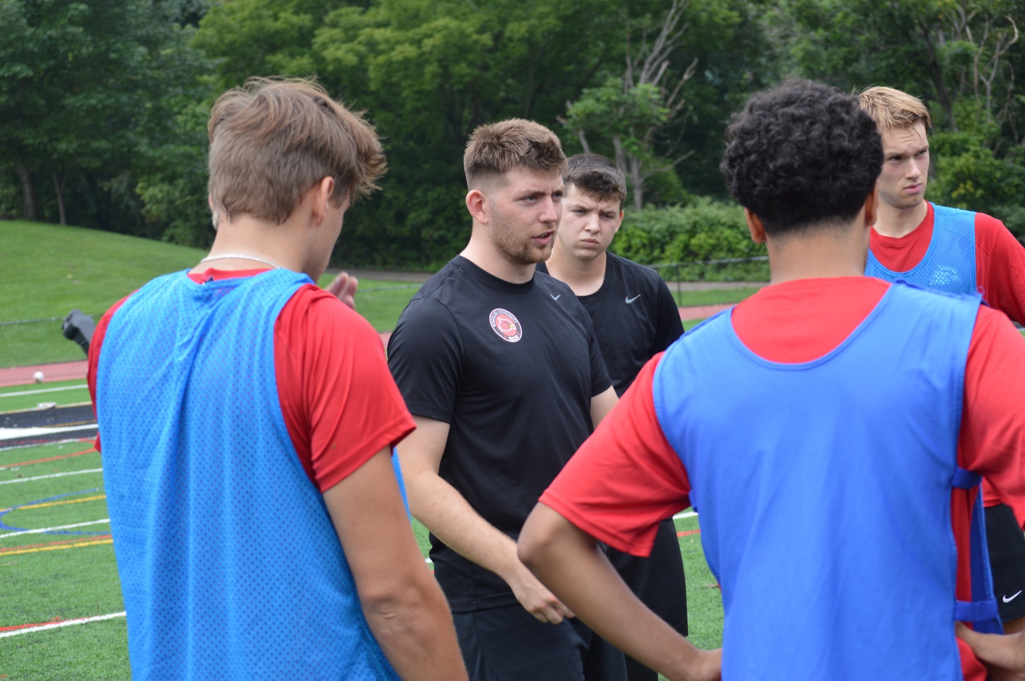 Shearer Coaching